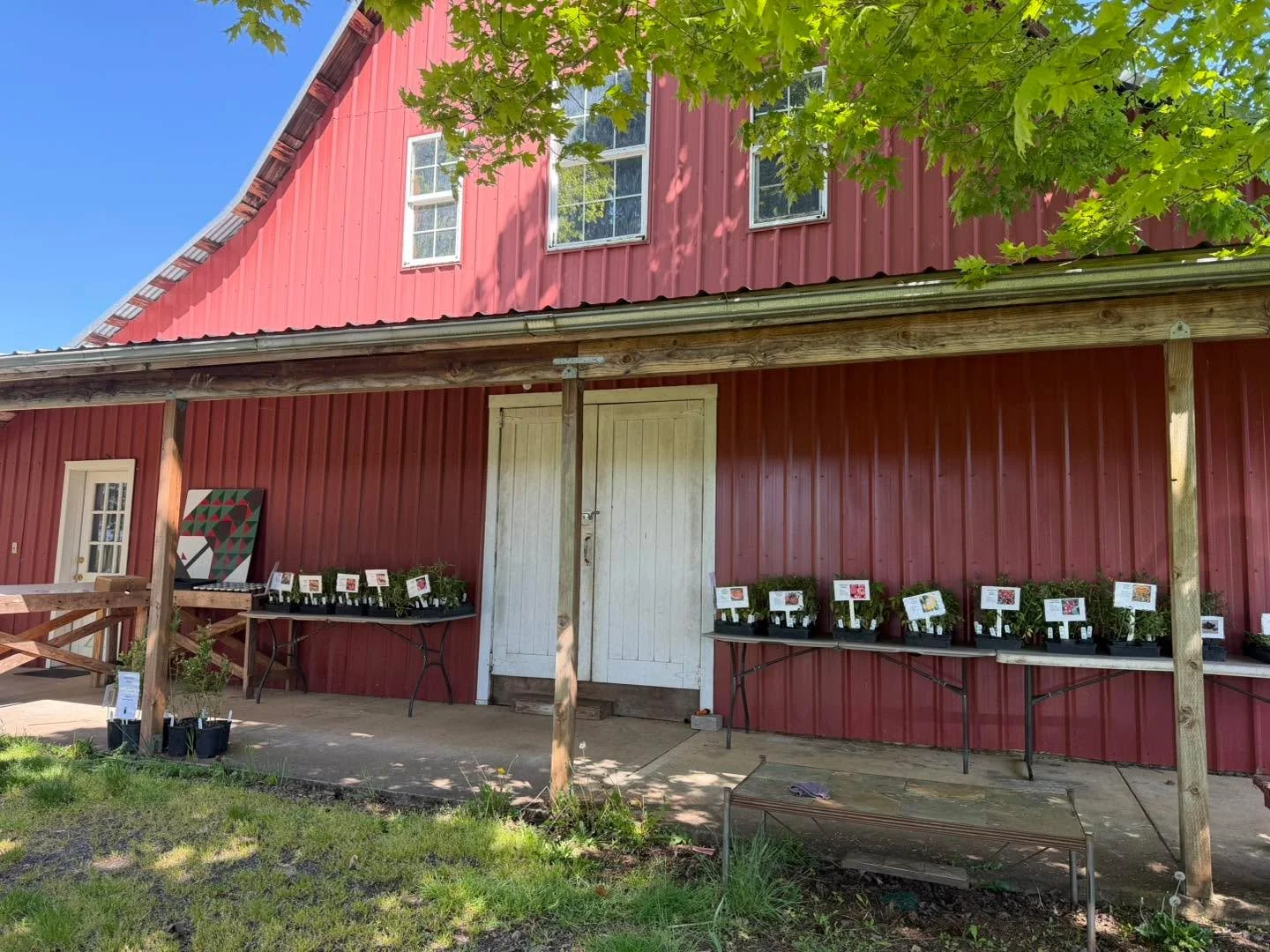 NEW! Self-serve farm stand is now open! While we eagerly await apple season, we wanted to share our other farming projects with the community. 

We have the following available:
- Tomato starts including slicers, heirloom, and cherry
- Hood strawberr