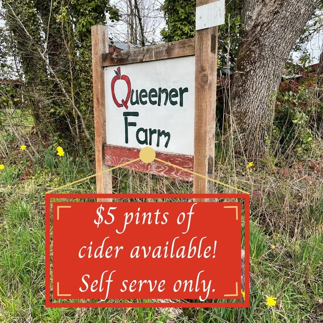 This weekend, we are only open for self-serve! There will be no staff at the farm stand this Friday and Saturday. We will just have frozen cider by the pint and pumpkins. 

$5 a pint for cider. Call 503-930-8280 for instructions on where to find the 