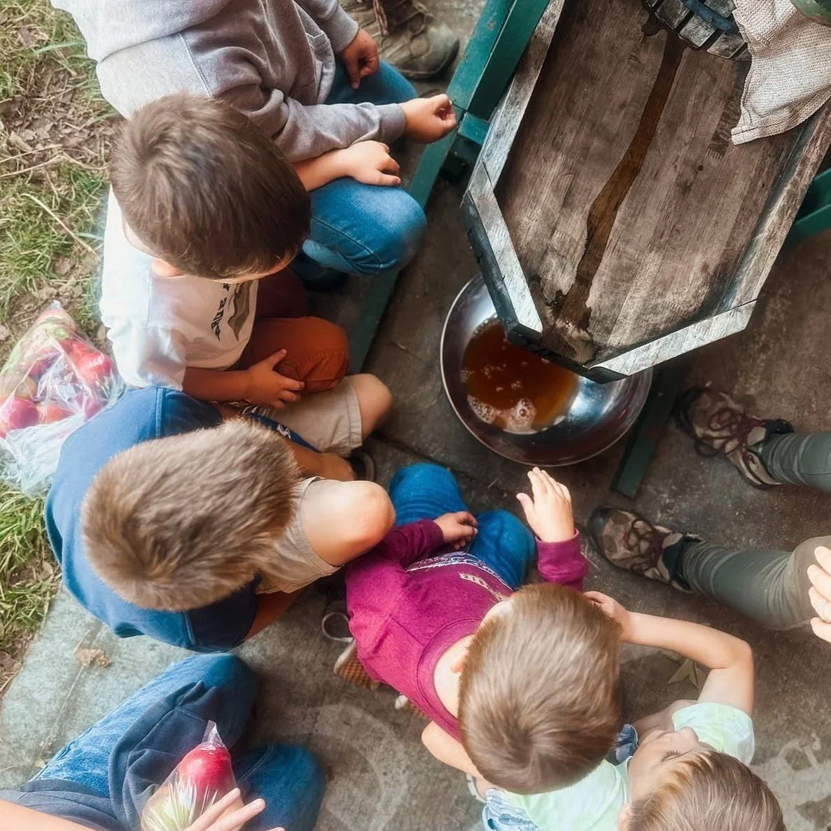 Looking for an authentic farm to food experience? We've got you covered! Here at Queener Farm we offer three different apple cider experiences for different groups. Whether you are looking for school/homeschool options, a family outing, weekend with 