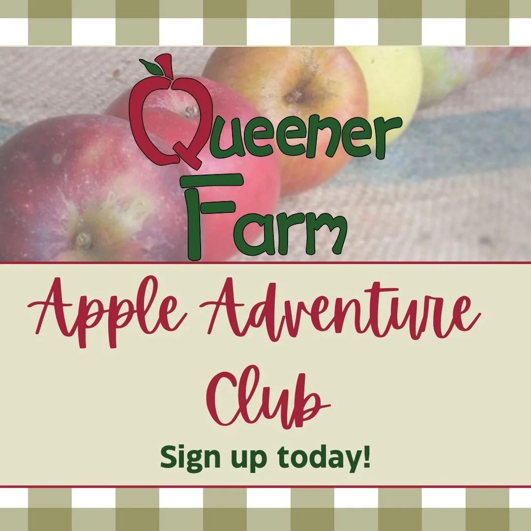 Did you know there are over 7,000 varieties of apples? How many have YOU tasted? Most shoppers only get to try about a dozen varieties from grocery stores. With our Apple Adventure Club, you'll get to try around 70 distinct varieties of apples throug