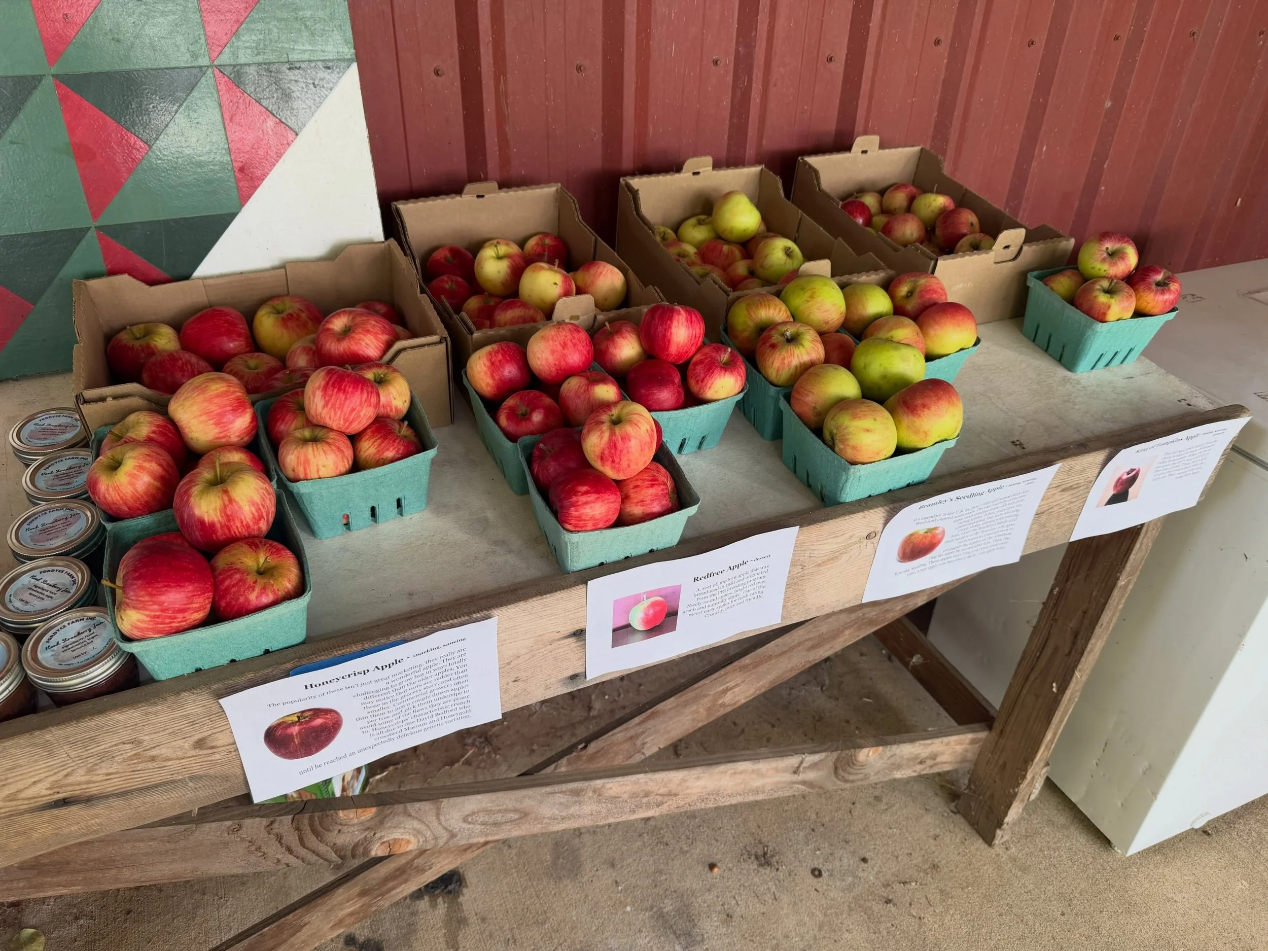 More varieties in the farmstand now! Honeycrisp, Redfree, Bramley&rsquo;s Seedling, and King of Tompkins. All available by the quart basket for $5 or the 5lb box for $12.50.

Self serve station open 7 days a week, 9am-6pm. Cashbox or QR codes for dig