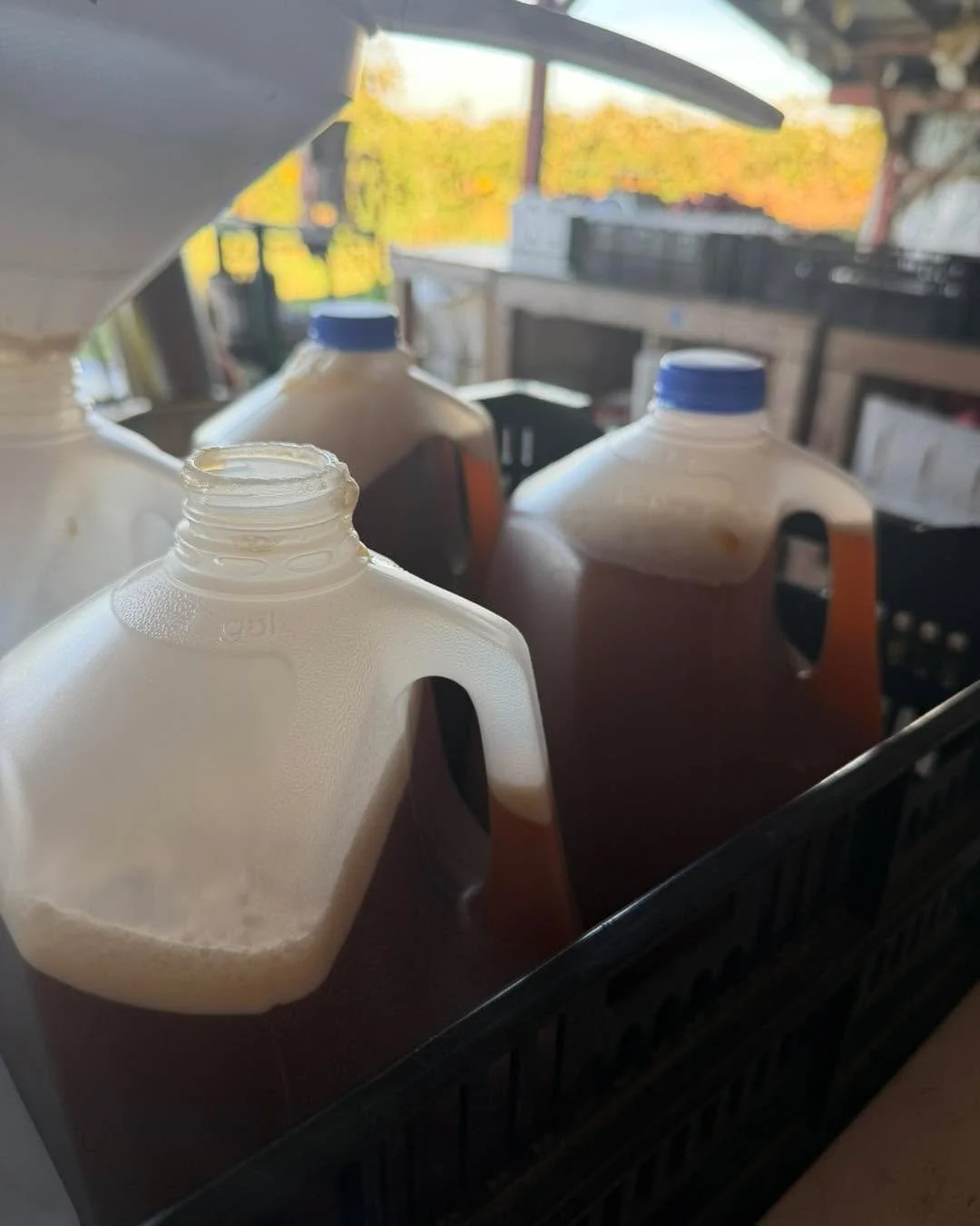 Cider, cider, cider! I think I&rsquo;ve lost count&hellip; is this our 4th press of the season or our 5th? 🤪 These late season apples are exquisite. We are big fans of the cider this time of the year. It&rsquo;s so rich in flavor. We will be fully s