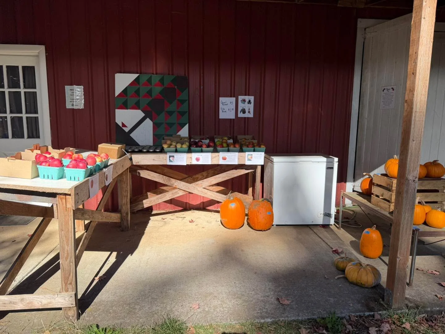 It&rsquo;s a gorgeous week in fall! Crisp, clean air and crunchy leaves calls for fresh apples and cider! The farm stand is restocked with 6 distinct varieties! 

Enterprise - great for snacking and saucing 
Honeycrisp - you know! 
Sundance - crisp a