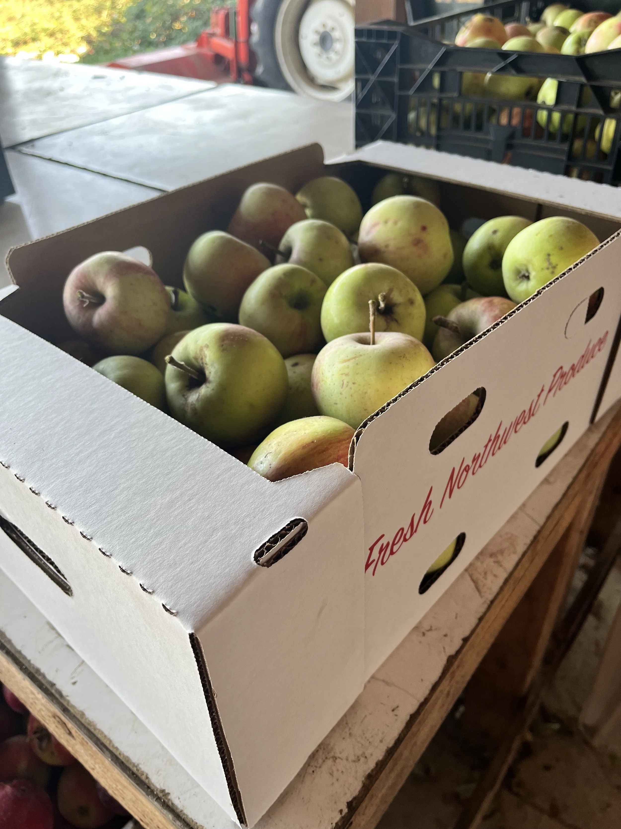 apples in box.jpeg
