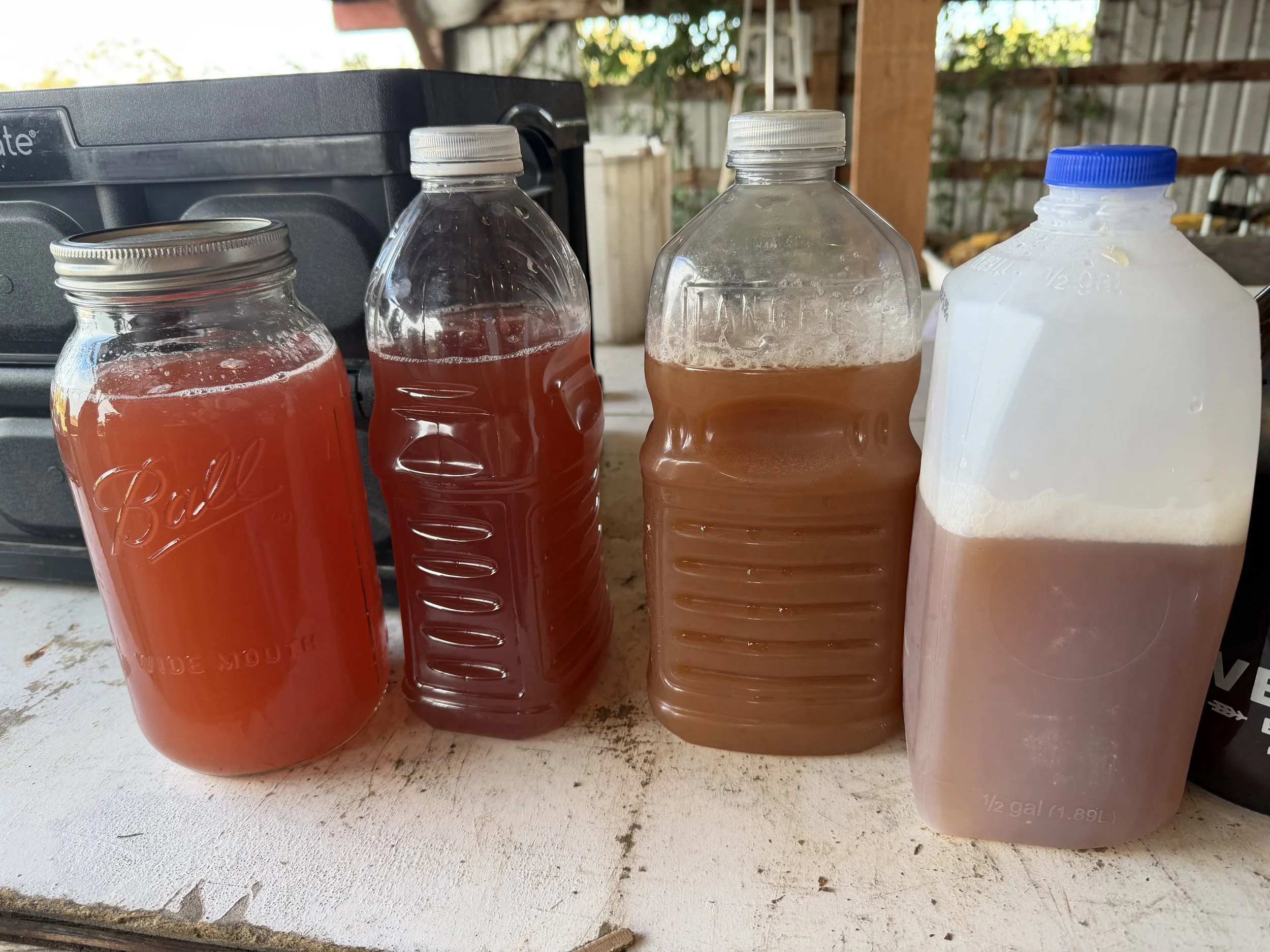 Cider Pressing Experience