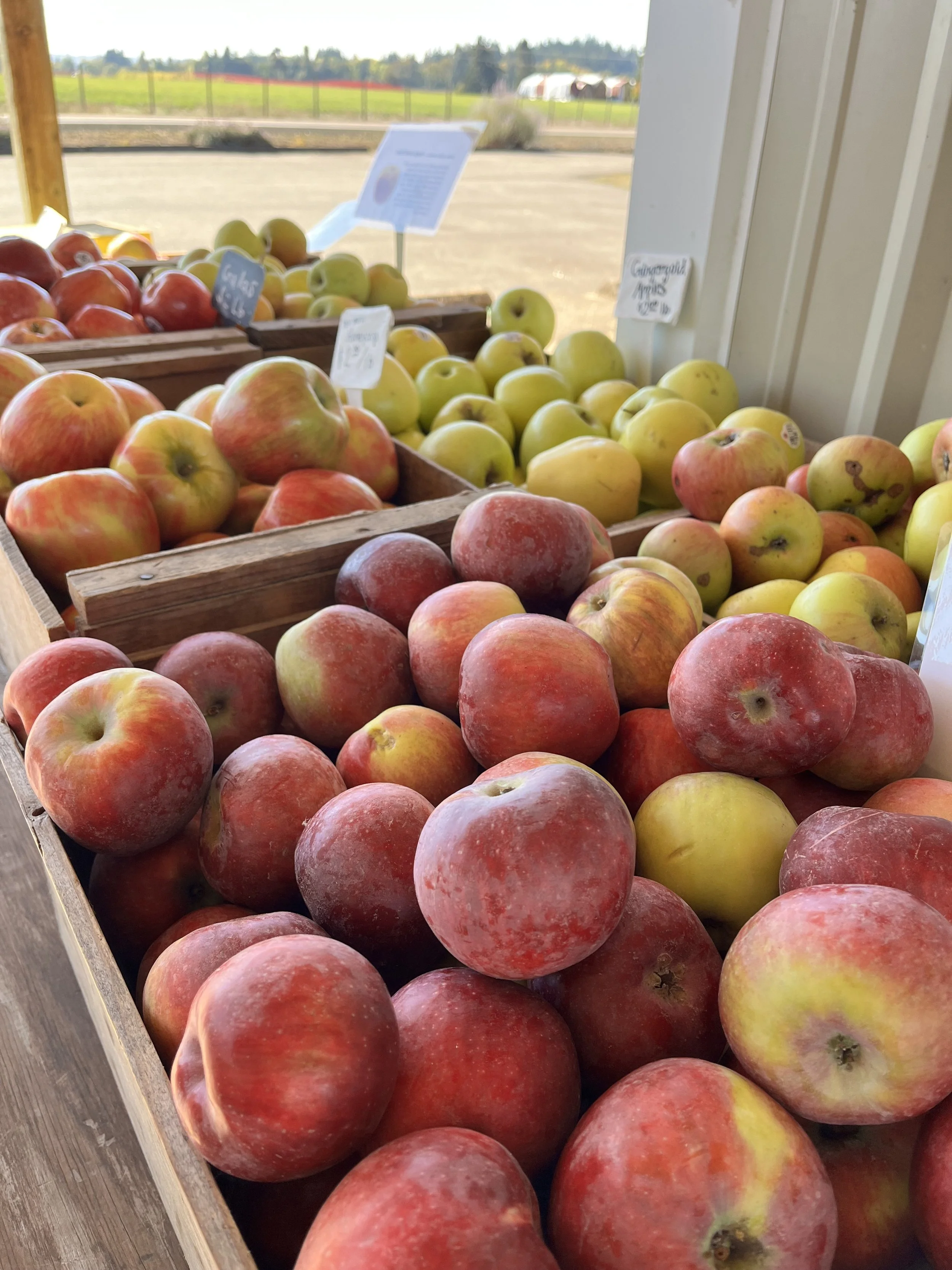 20 lbs In-Season Apple - for farm pickup