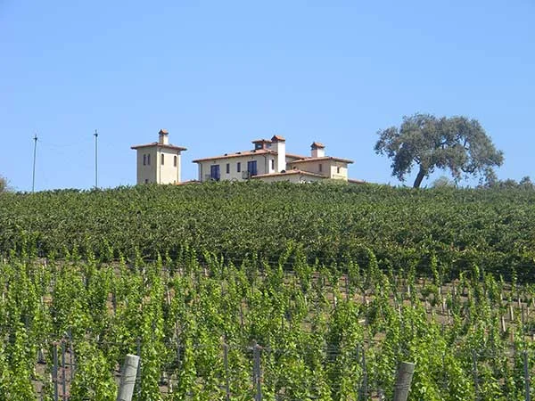 Stolpman Estate