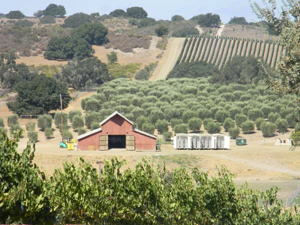 Barn.jpg