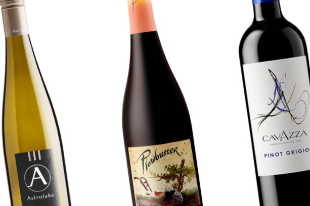 The World of Pinot Wine Tasting