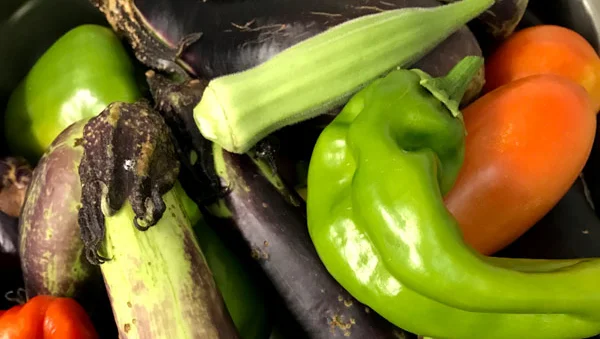 Summer Harvest Cooking Class