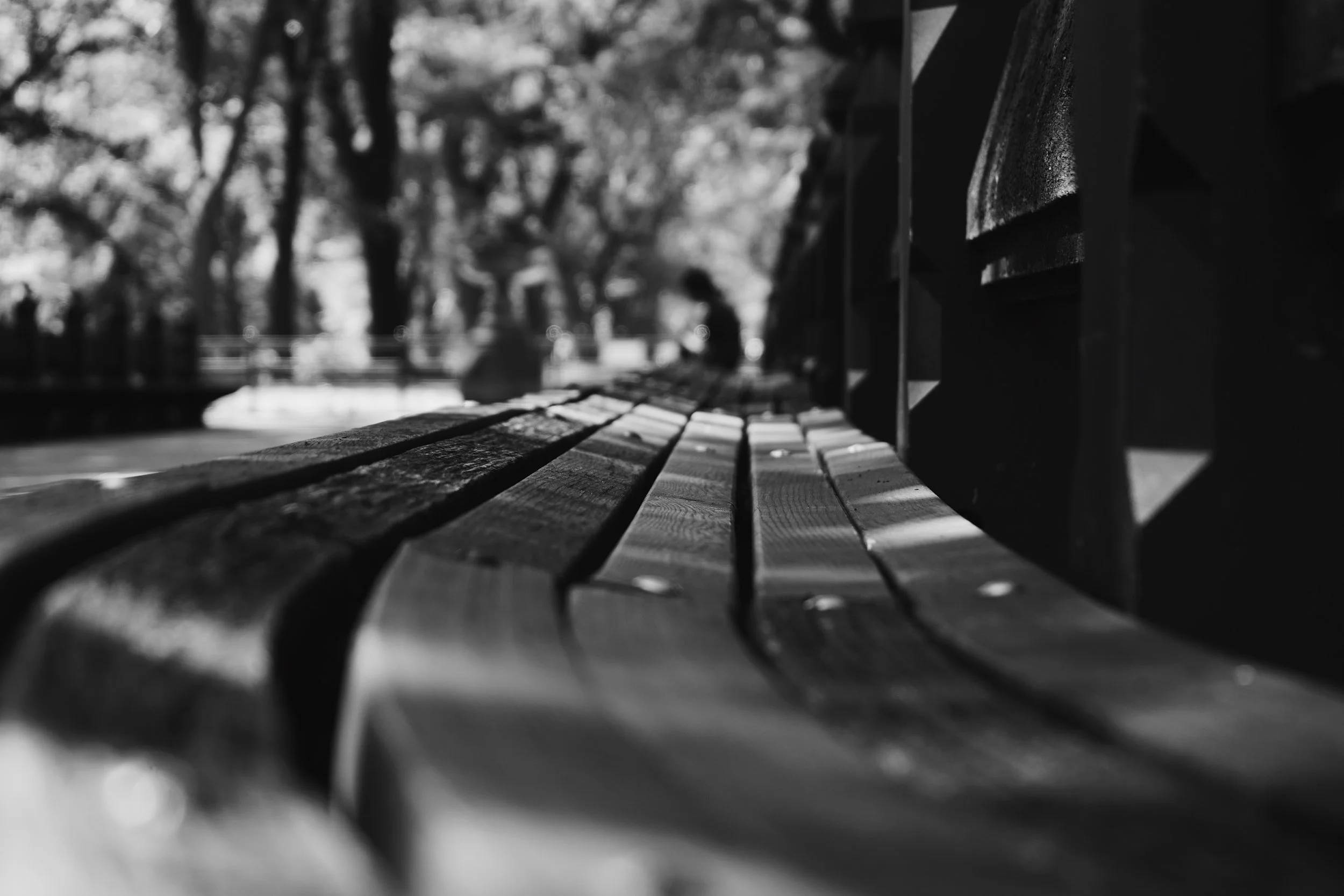 D7E81186-12DD-4EEB-84AE-4303BE48B658.JPG
