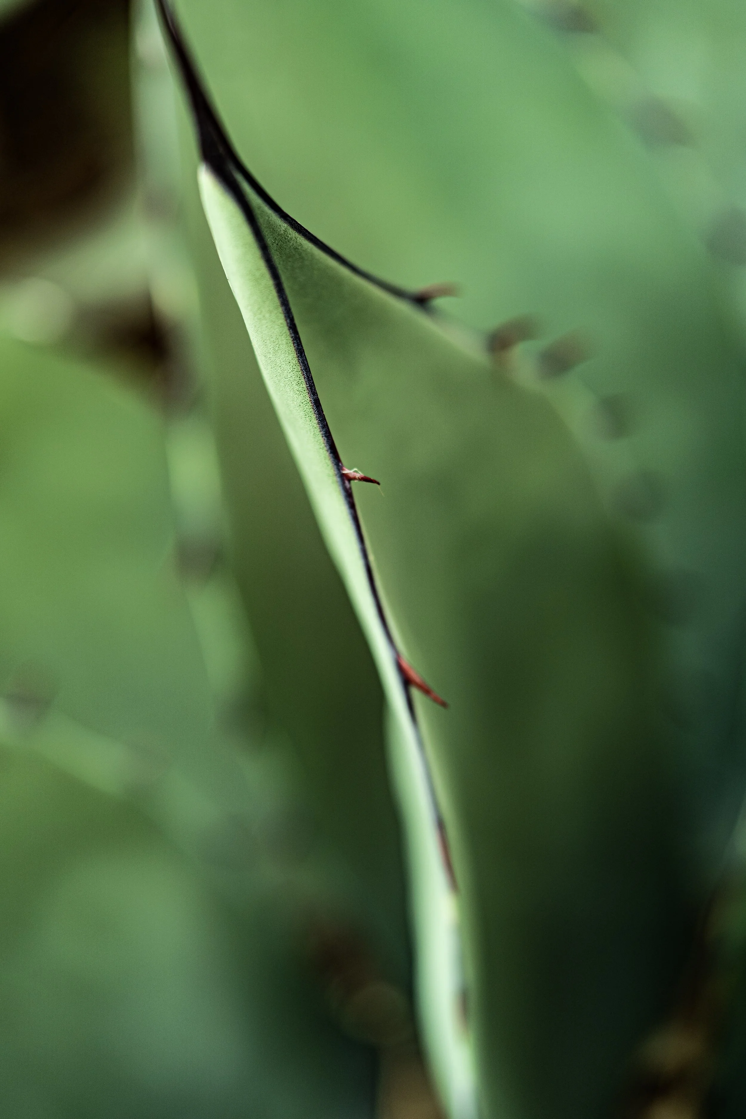 LBH07361.JPG