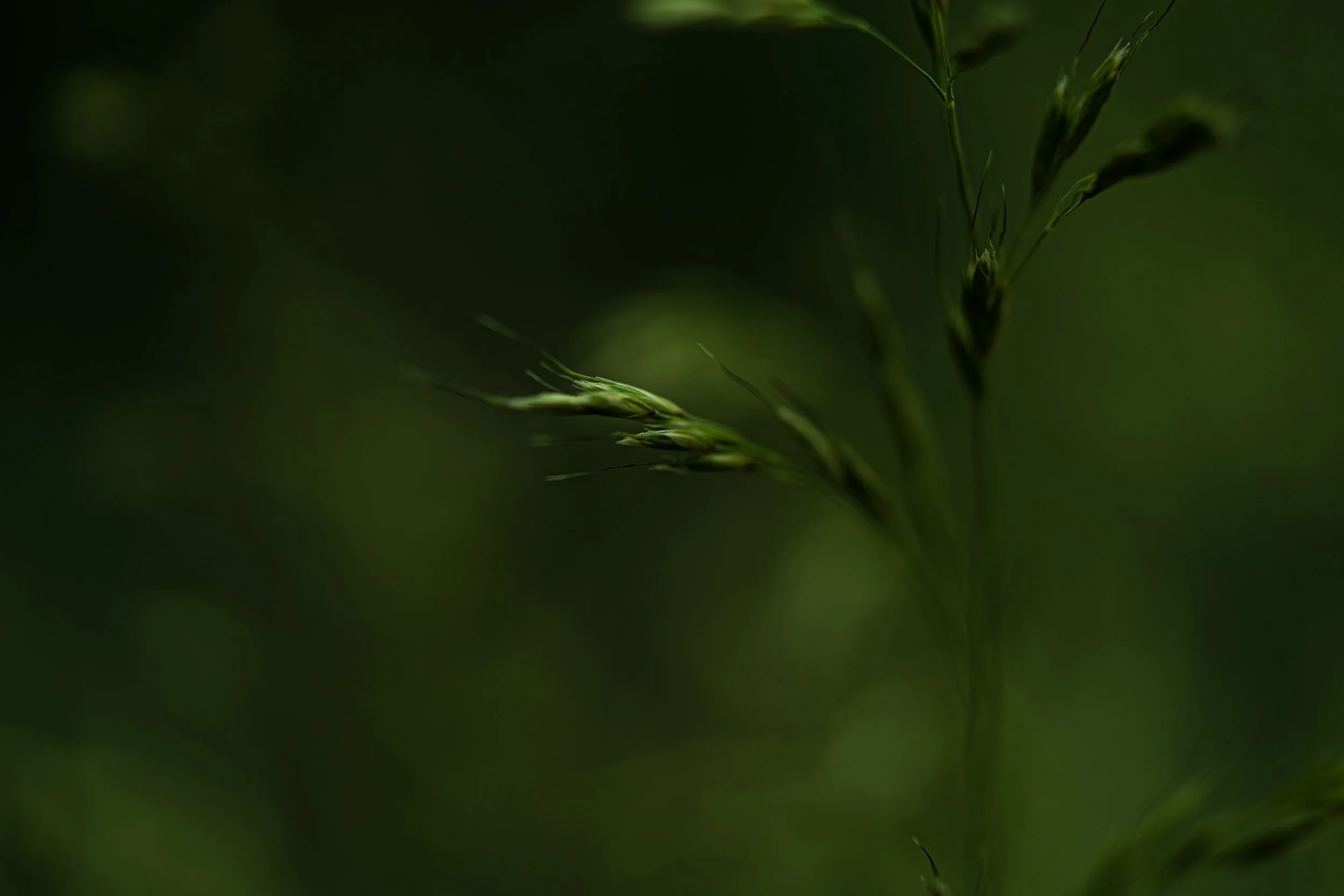 LBH07324.JPG