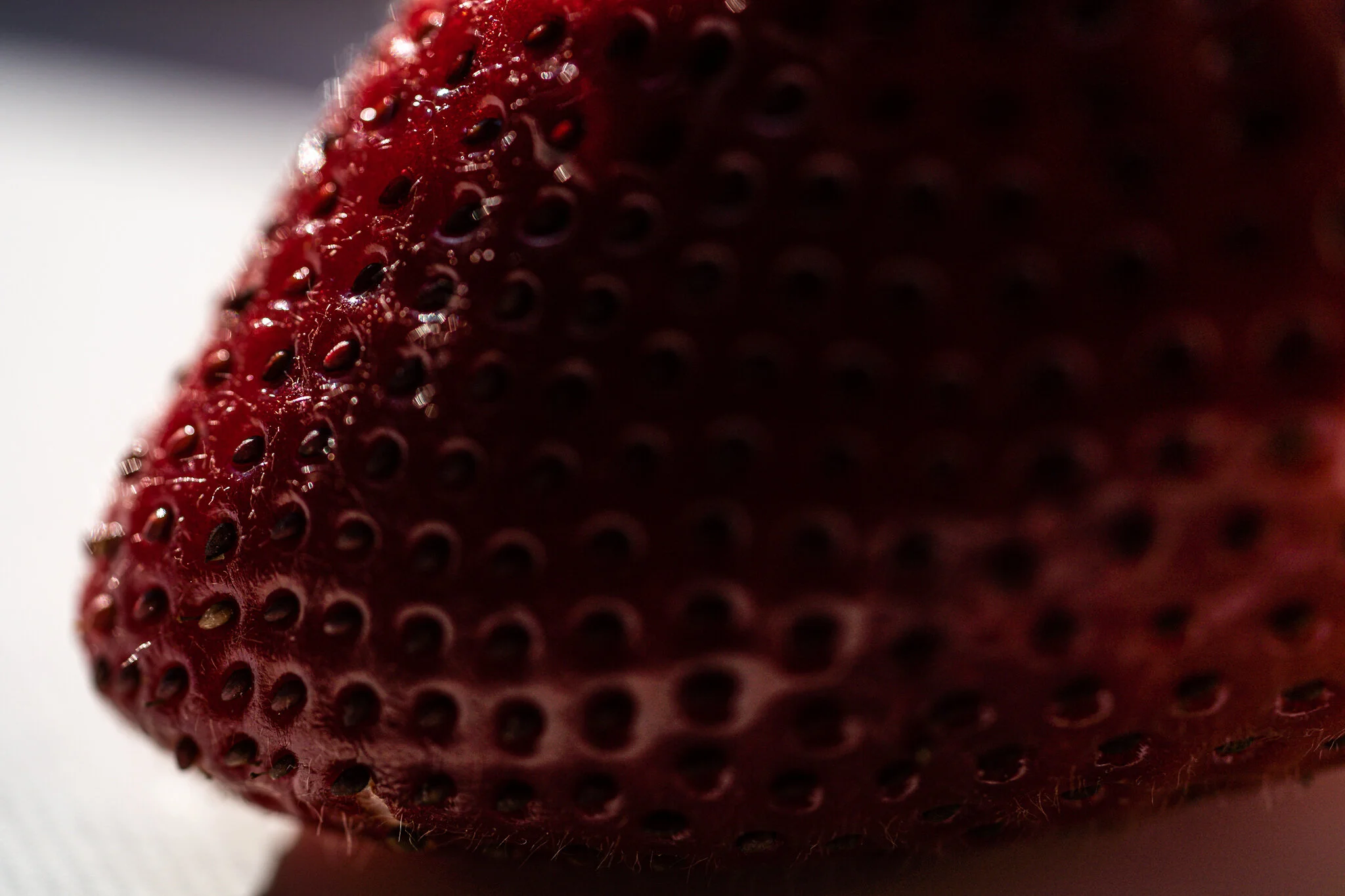 20200428-LBH07171 2.jpg