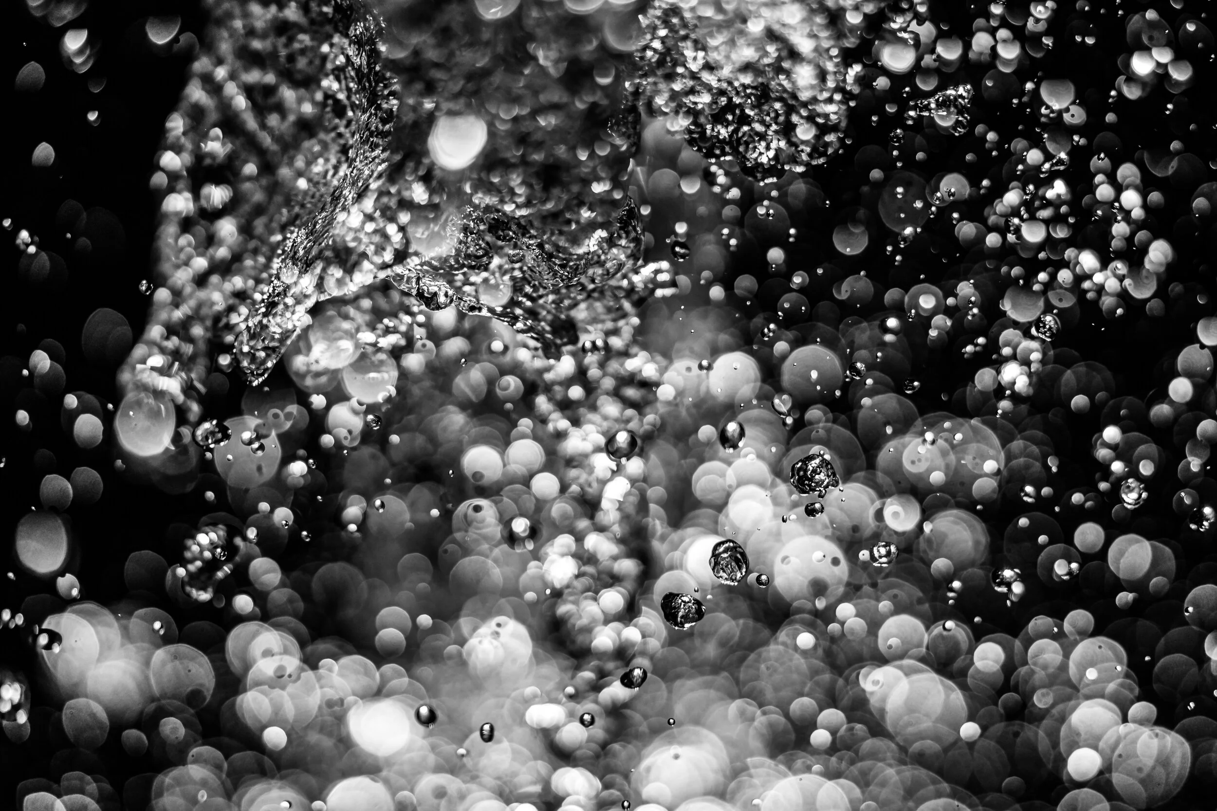 Whalebone BW Portrait Splash 6.JPG