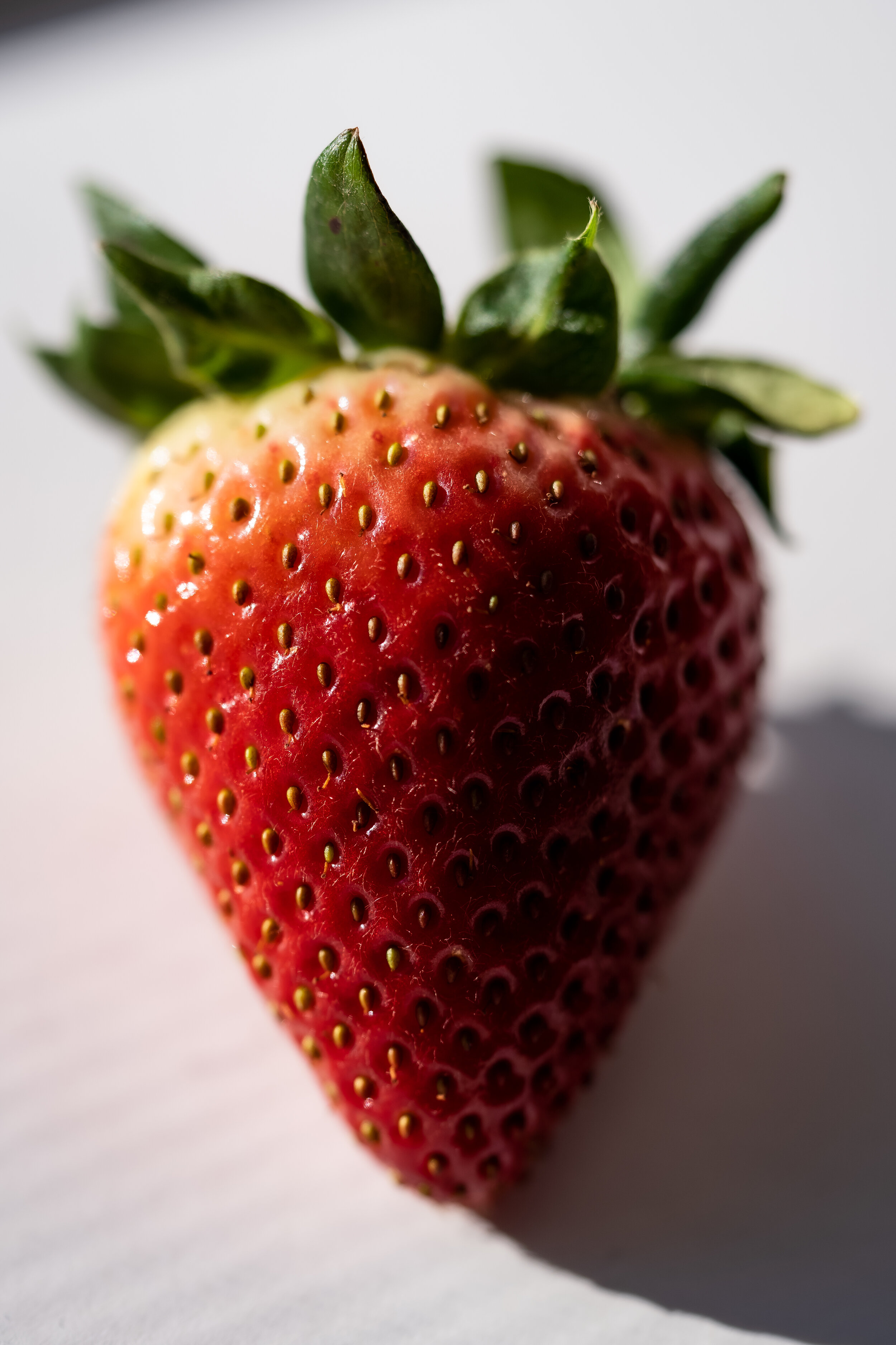 Strawberry Portrait 1.jpg