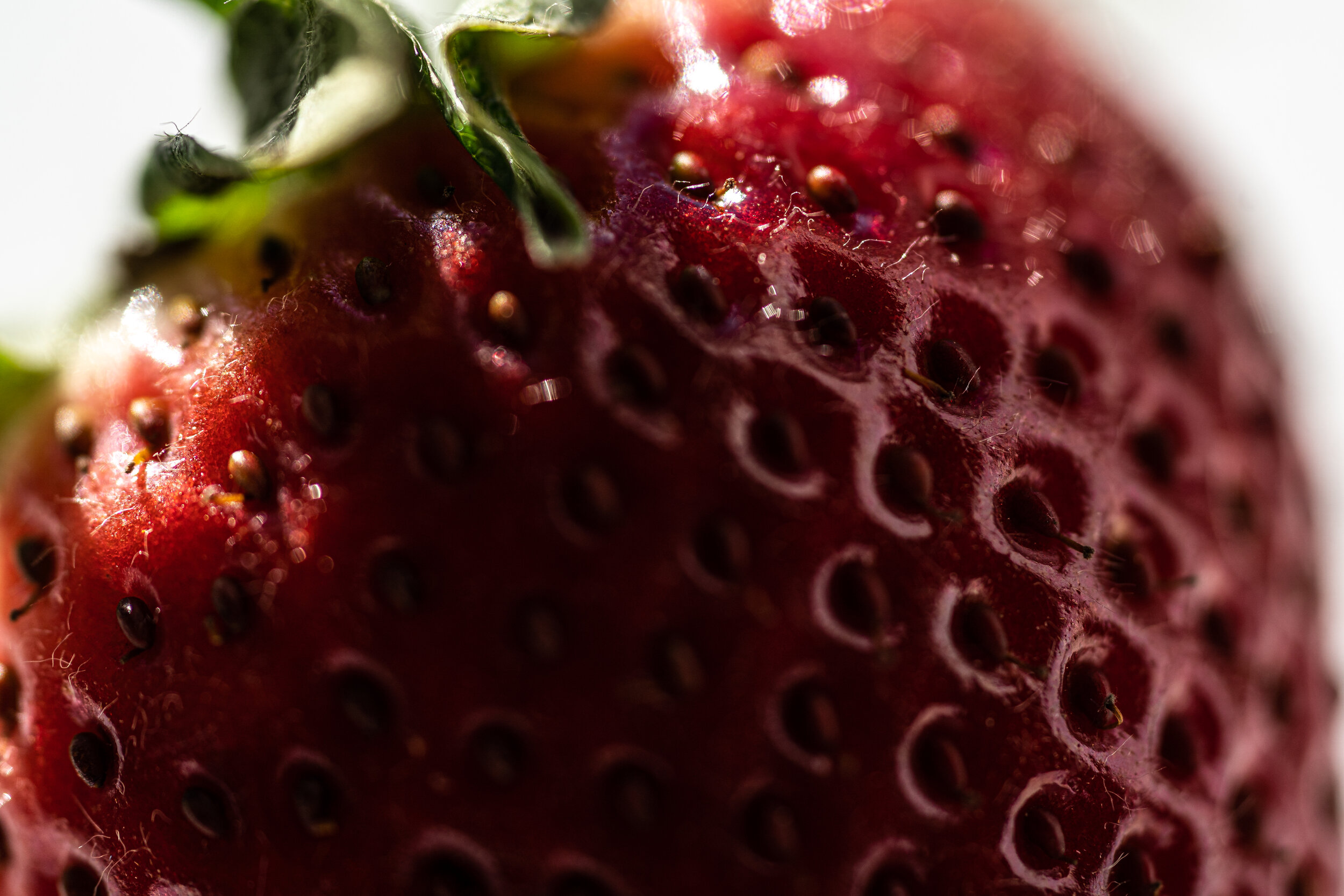 Strawberry Macro.jpg