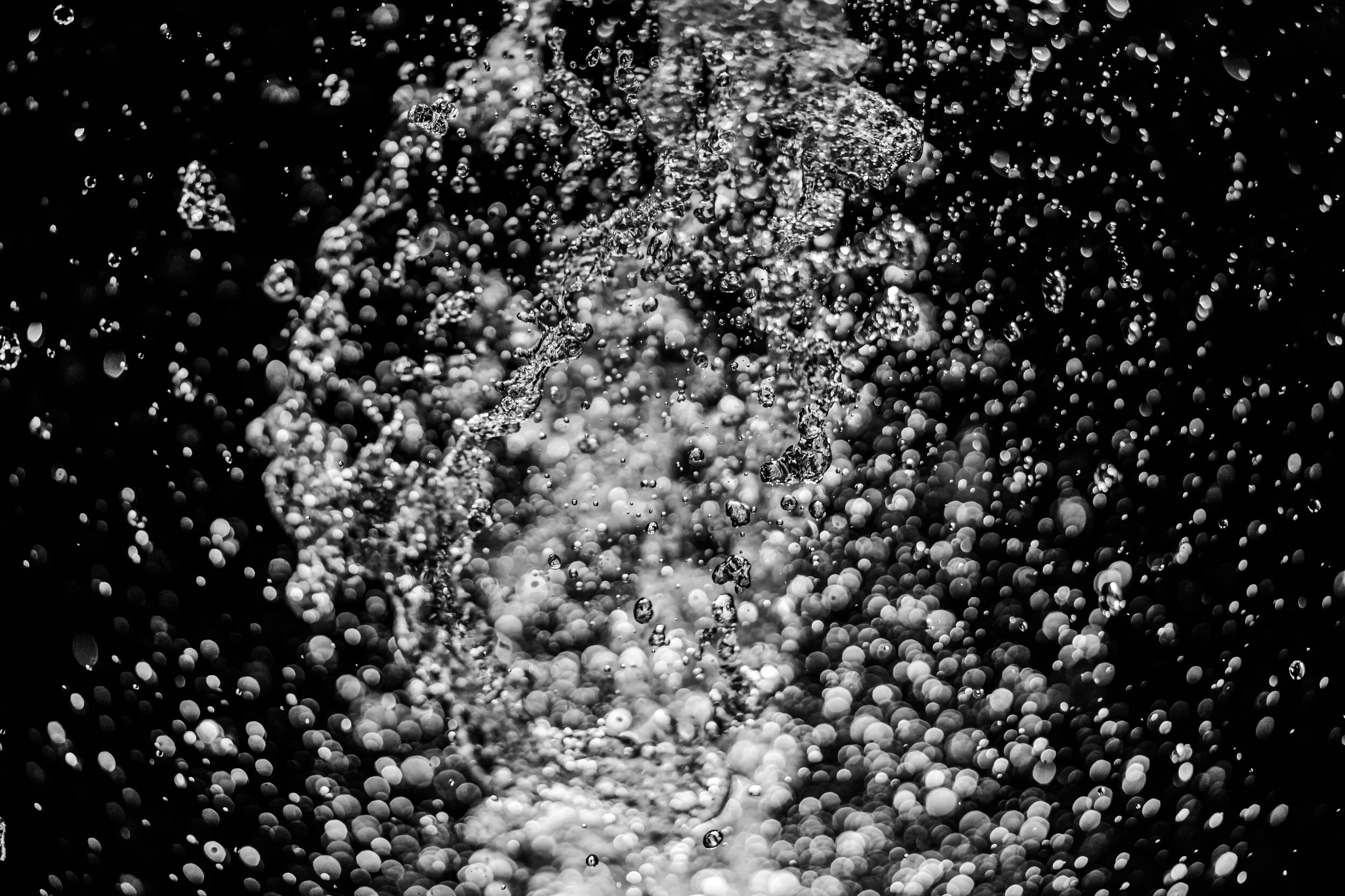 Whalebone BW Portrait Splash 7.JPG