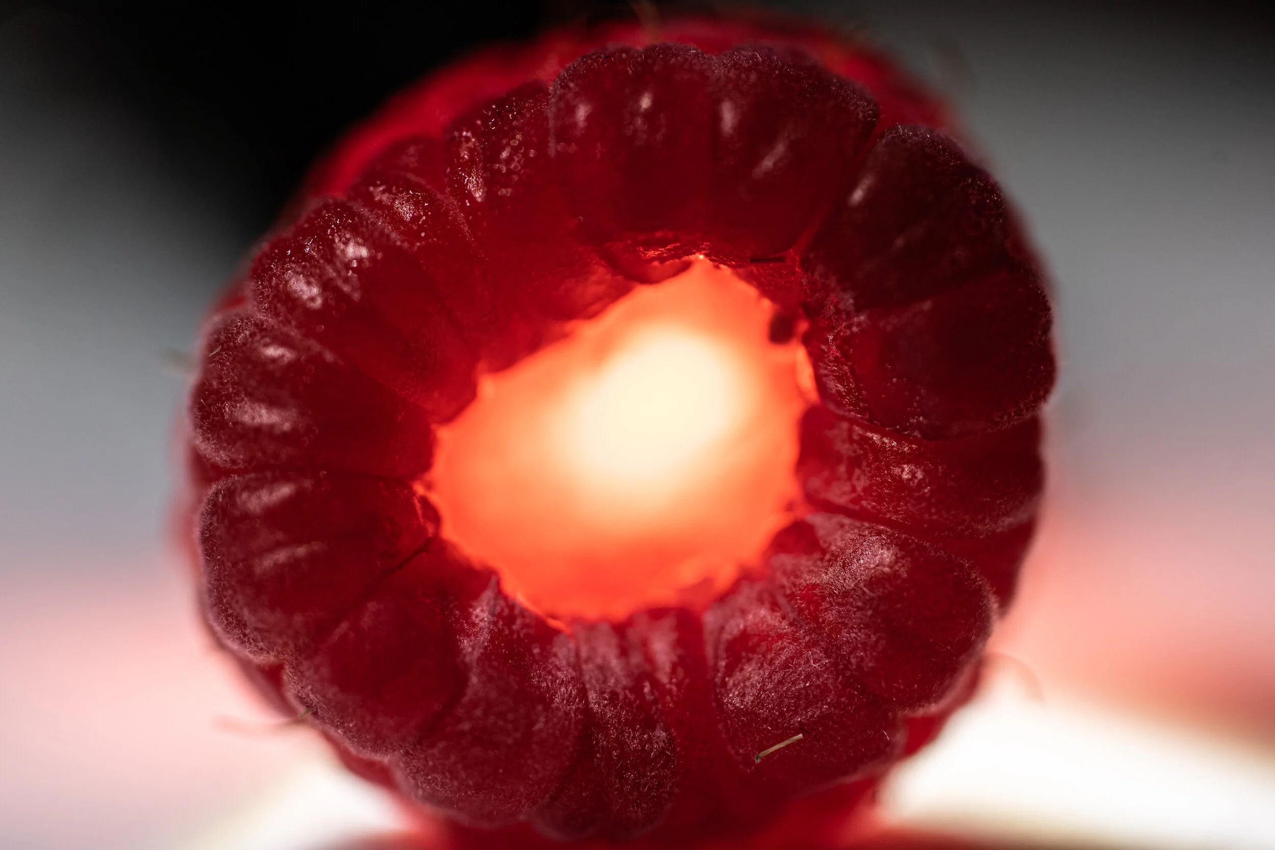 20200512-LBH07268 2.JPG