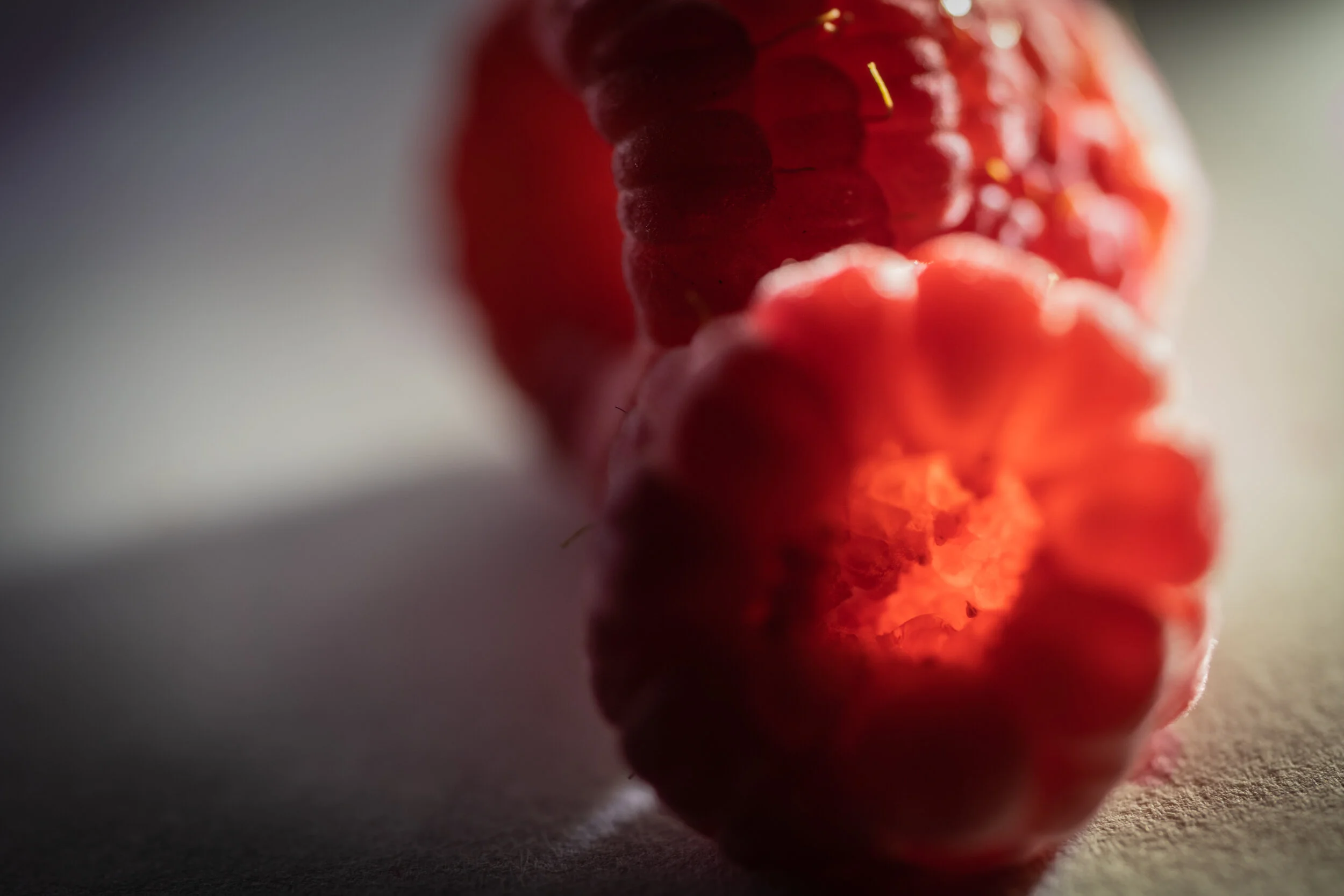 20200512-LBH07326 3.JPG