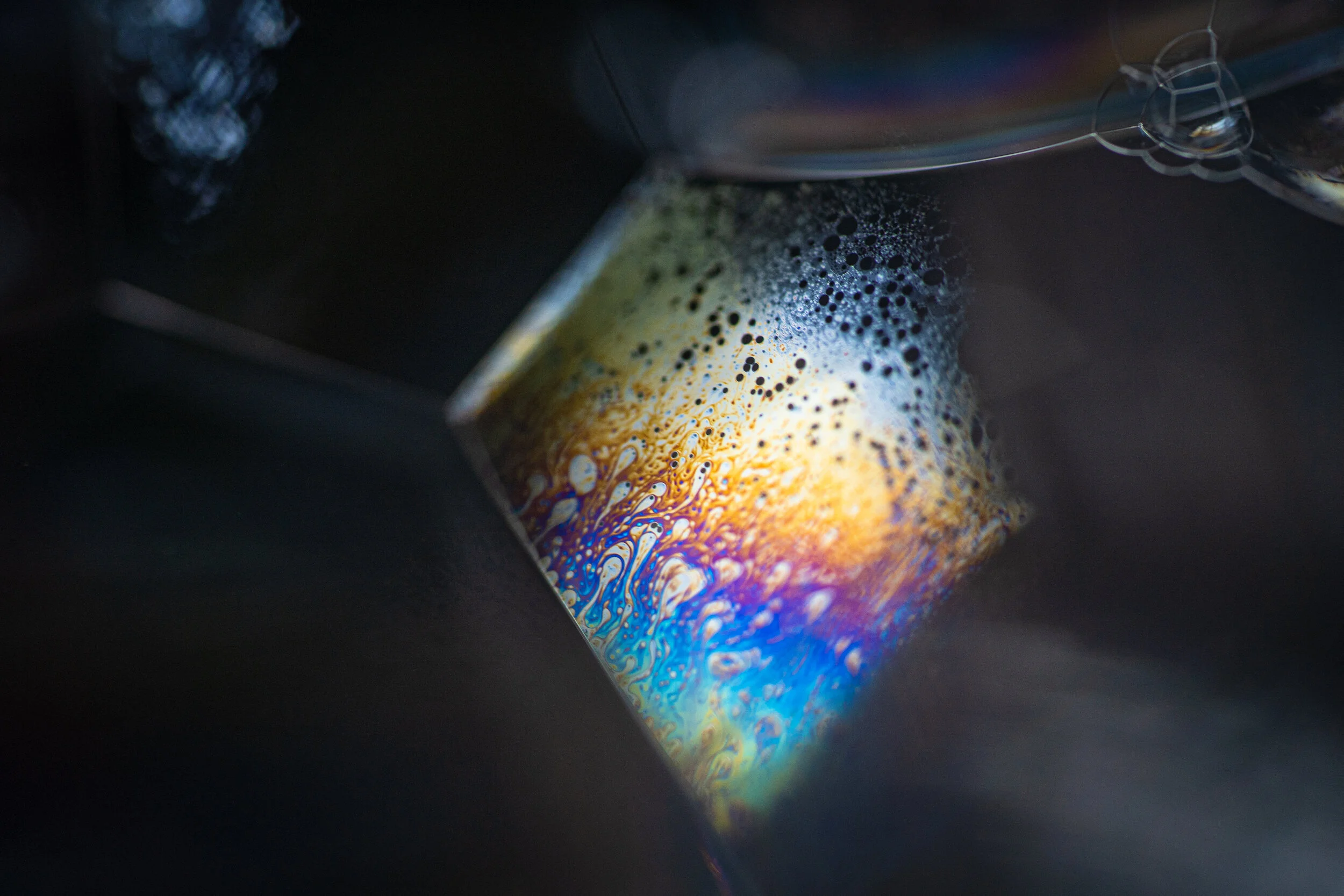 20200524-LBH08342 2.JPG