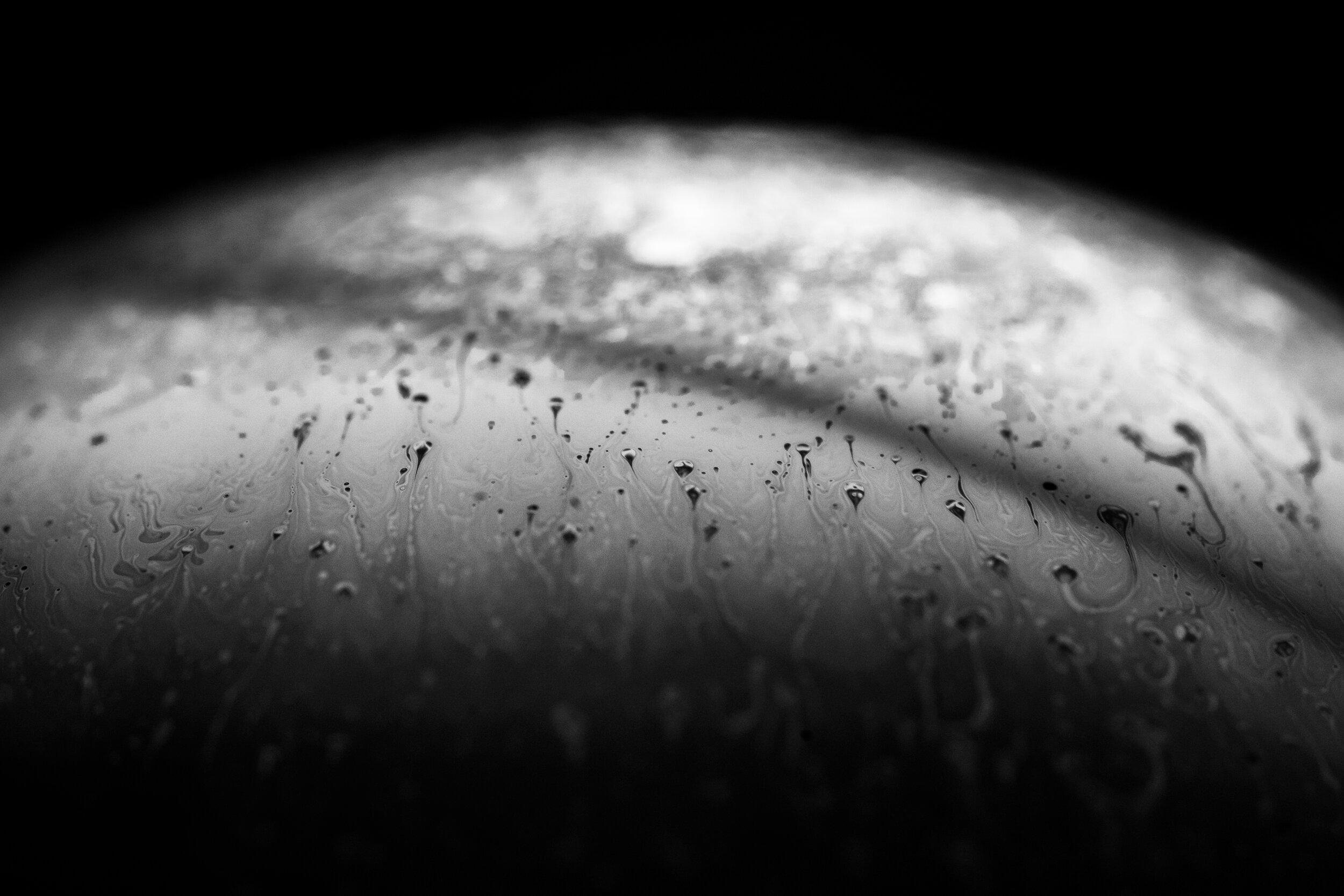 20200926-LBH09328 2.JPG