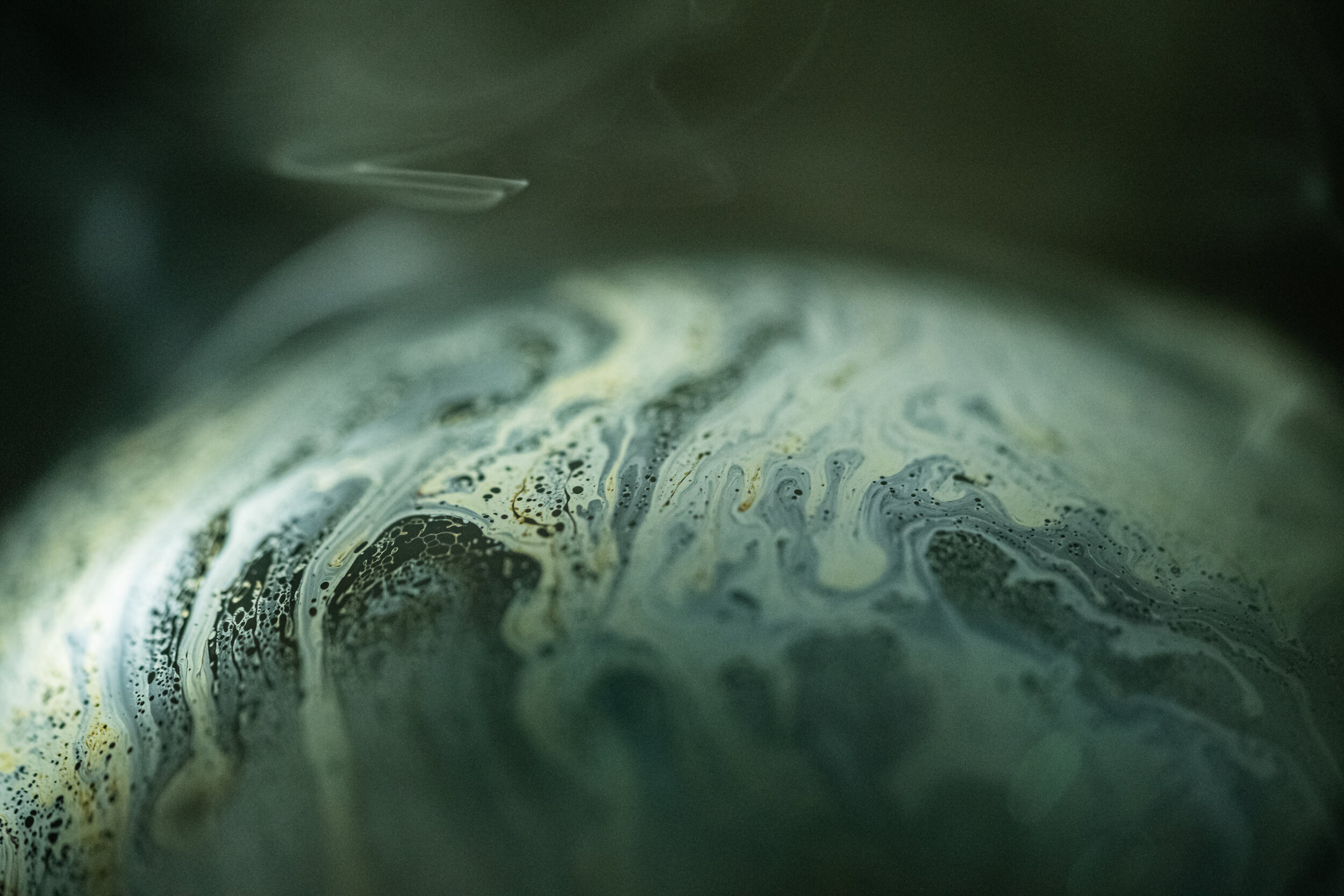 20200926-LBH00111 2.JPG