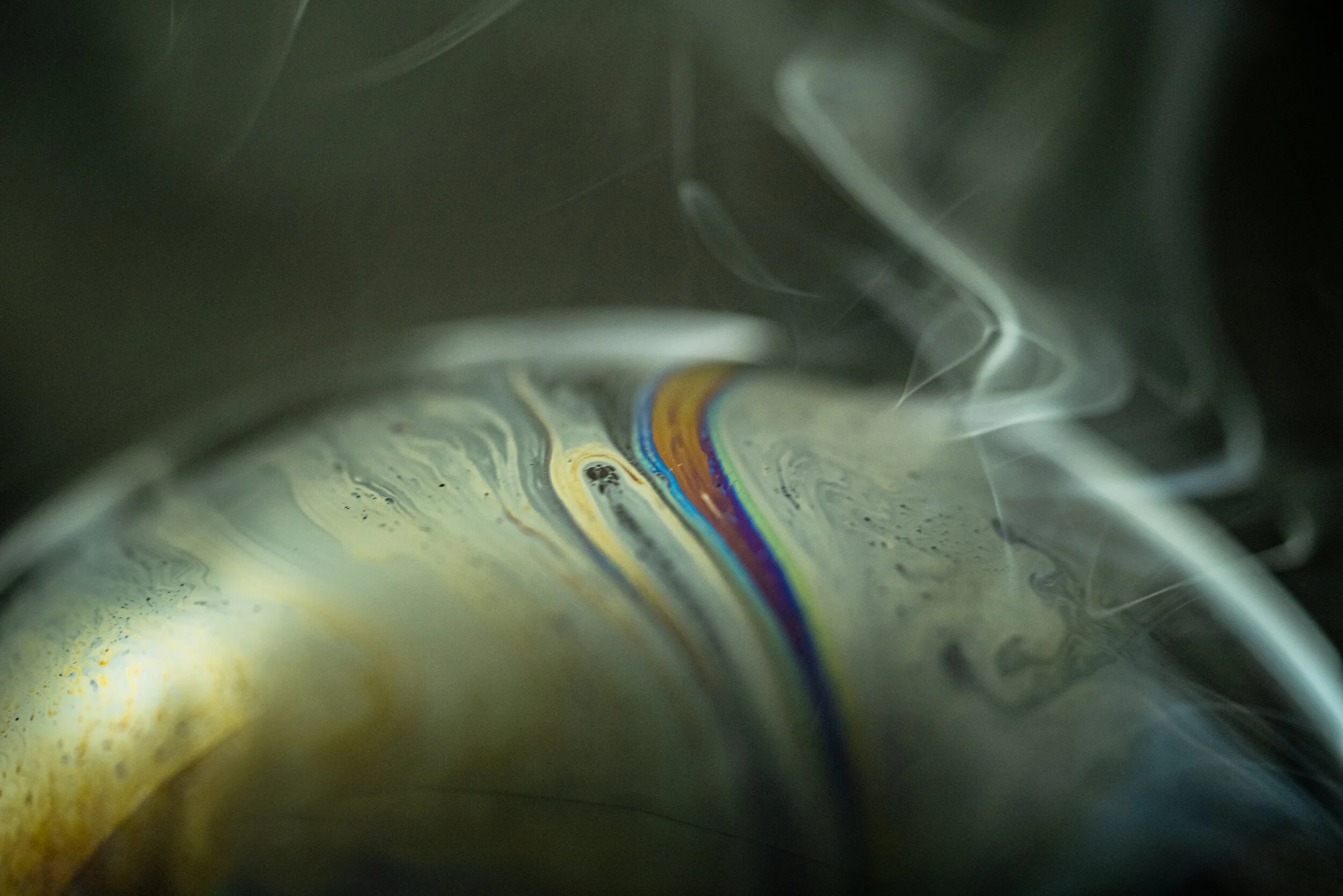 20200926-LBH09801 2.JPG