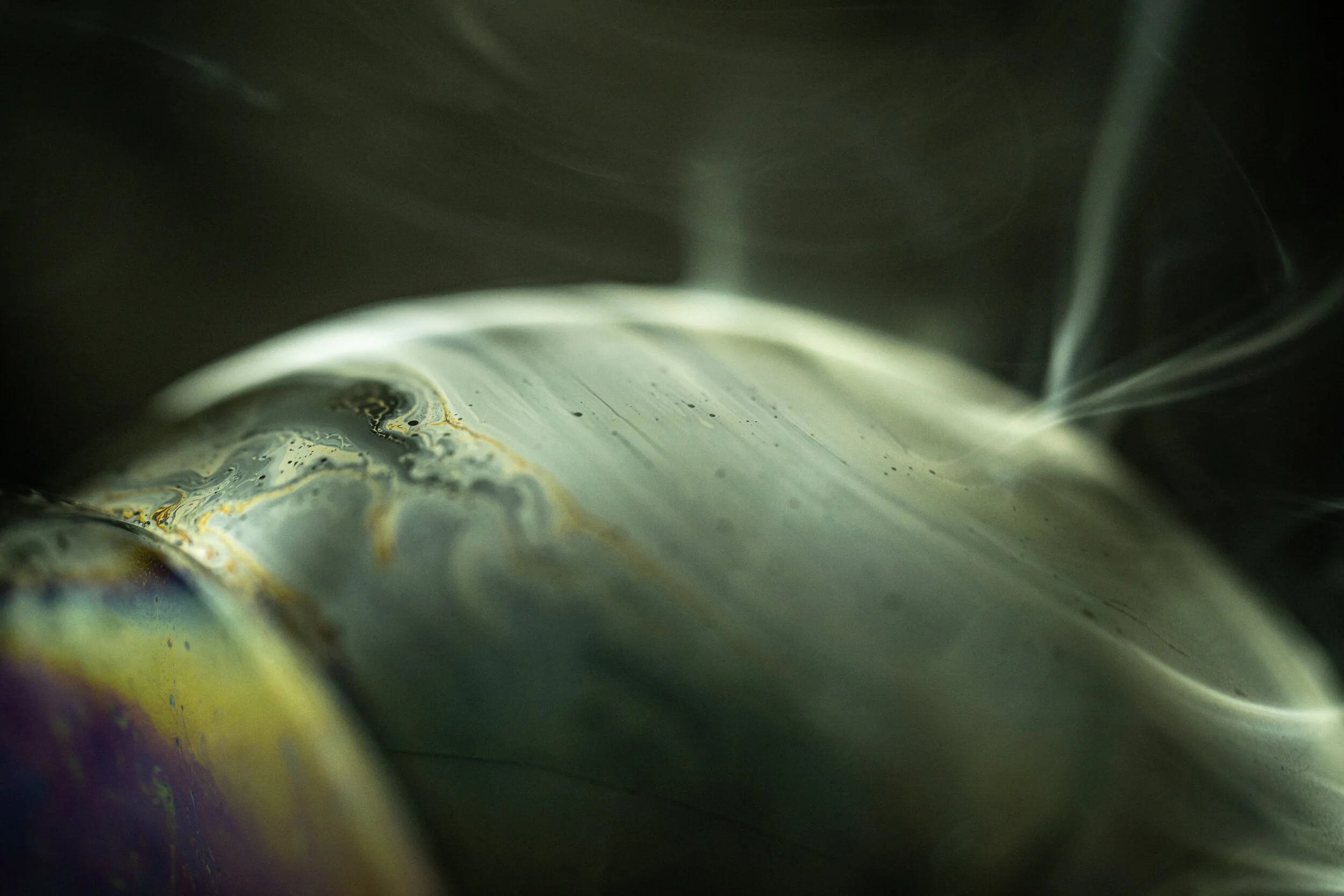 20200926-LBH09915 2.JPG