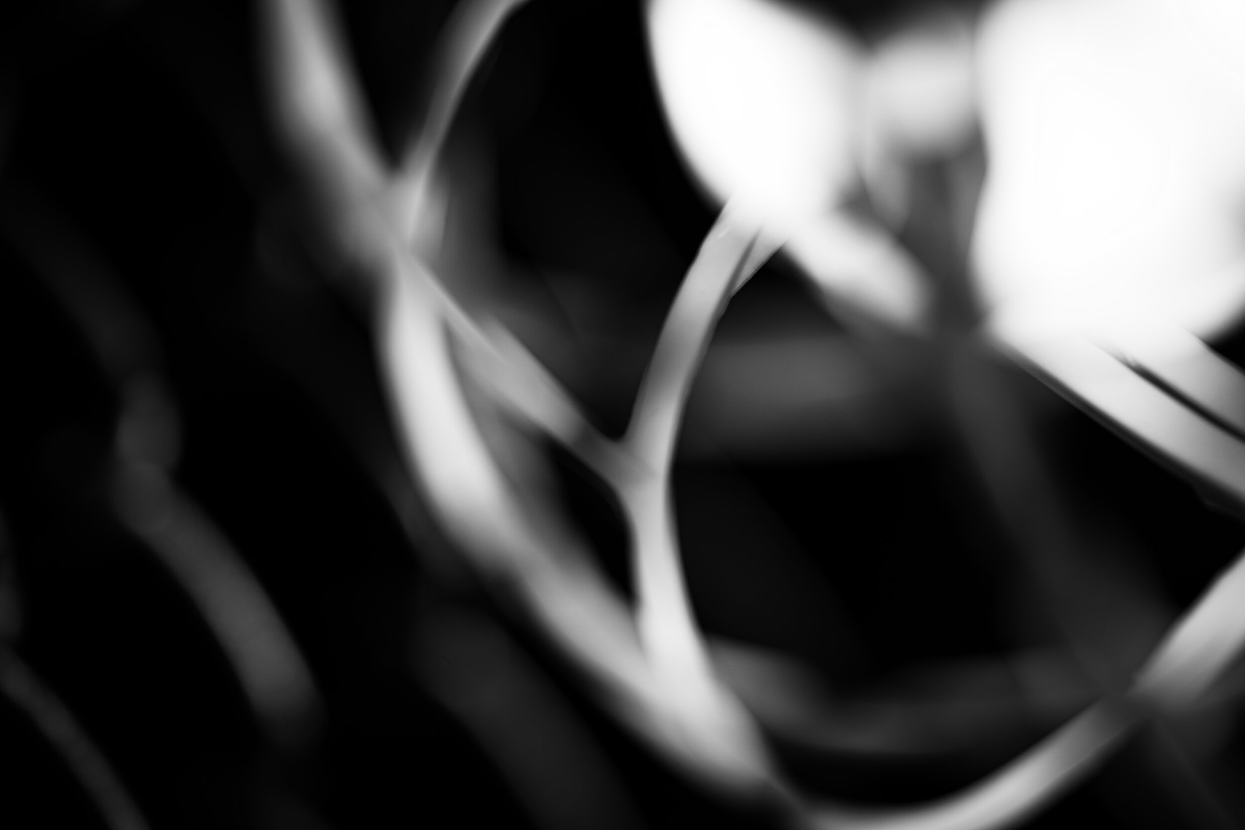 20190424-LBH04410 2.JPG