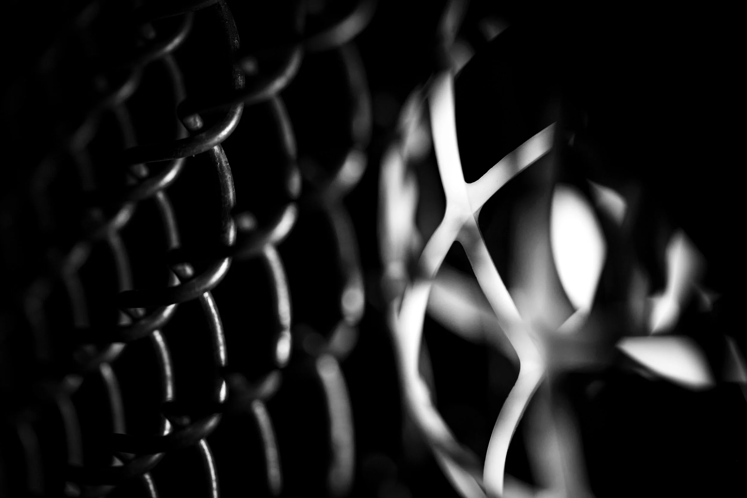 20190424-LBH04448 2.JPG