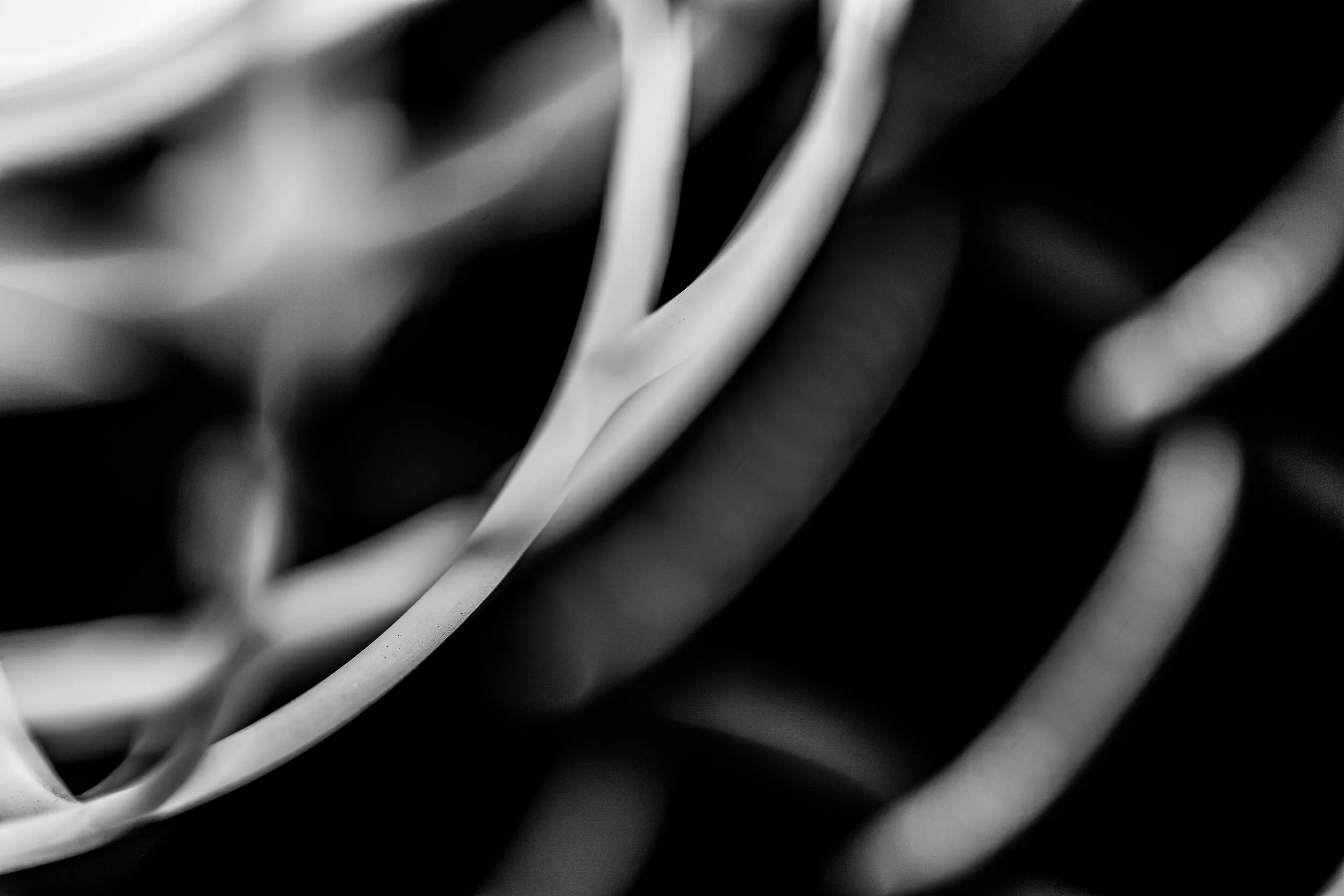 20190424-LBH04455 2.JPG