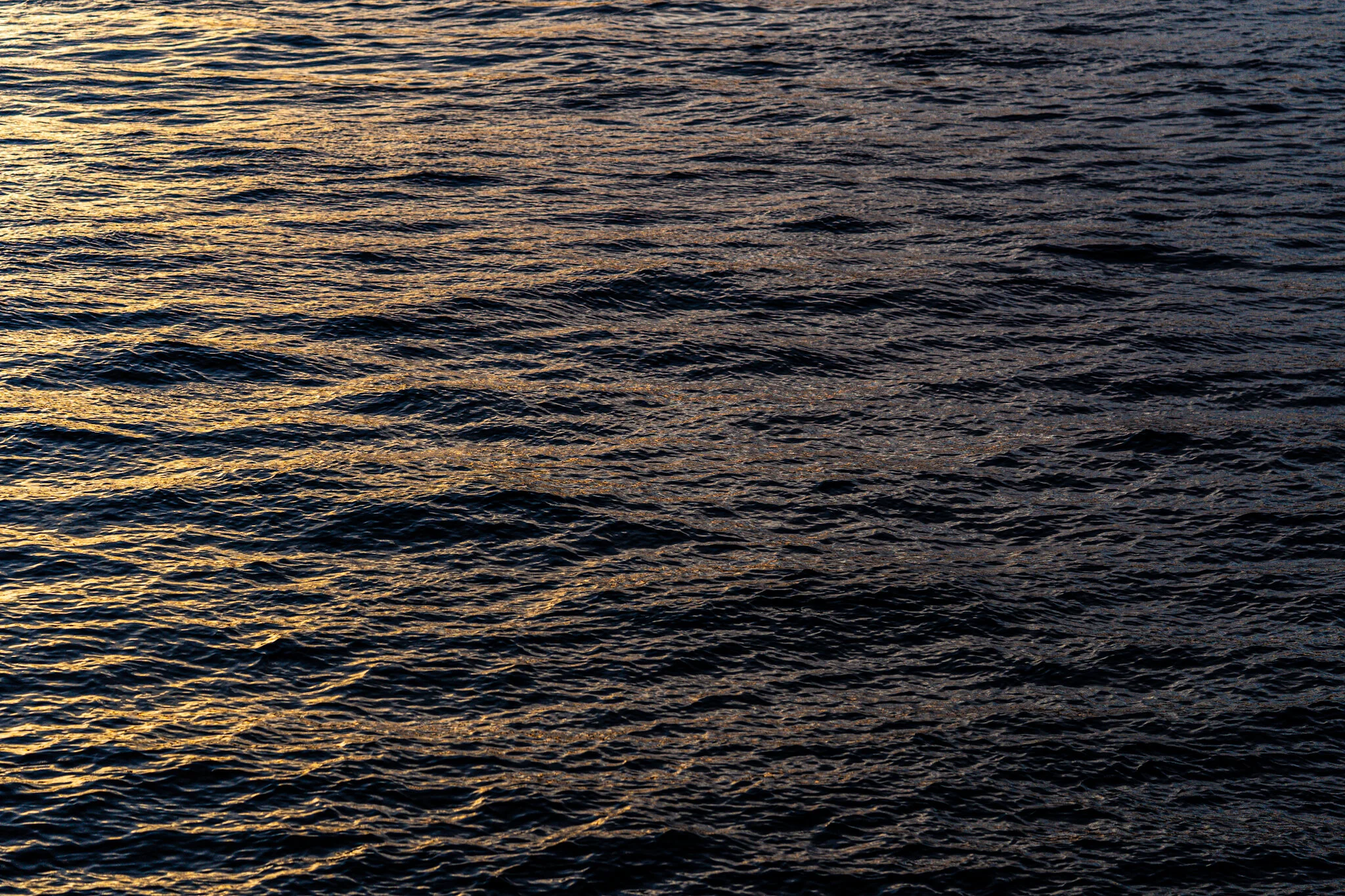 Whalebone Sunser River (Small Version for 13oh).jpg