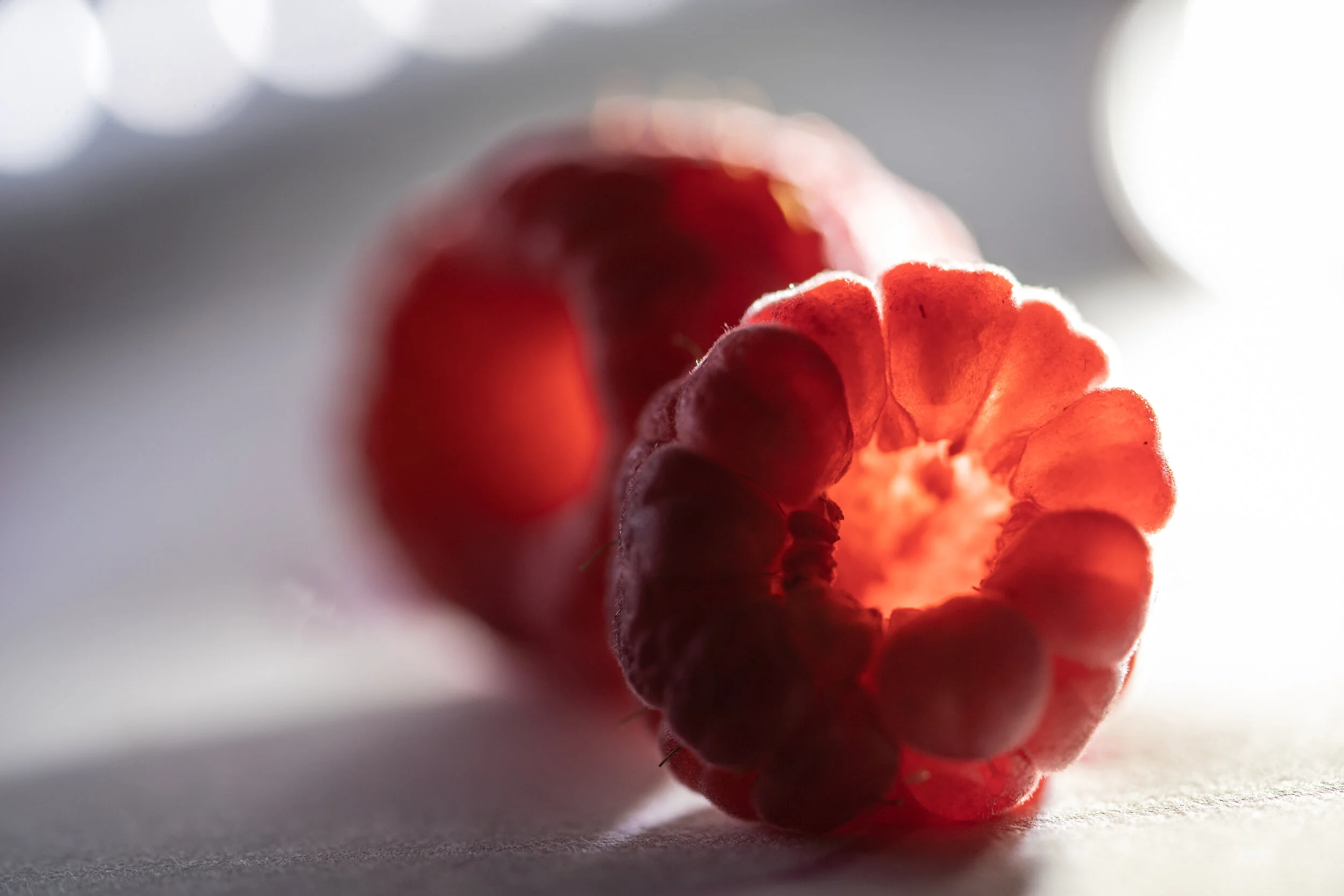 Raspberry Light 1.JPG