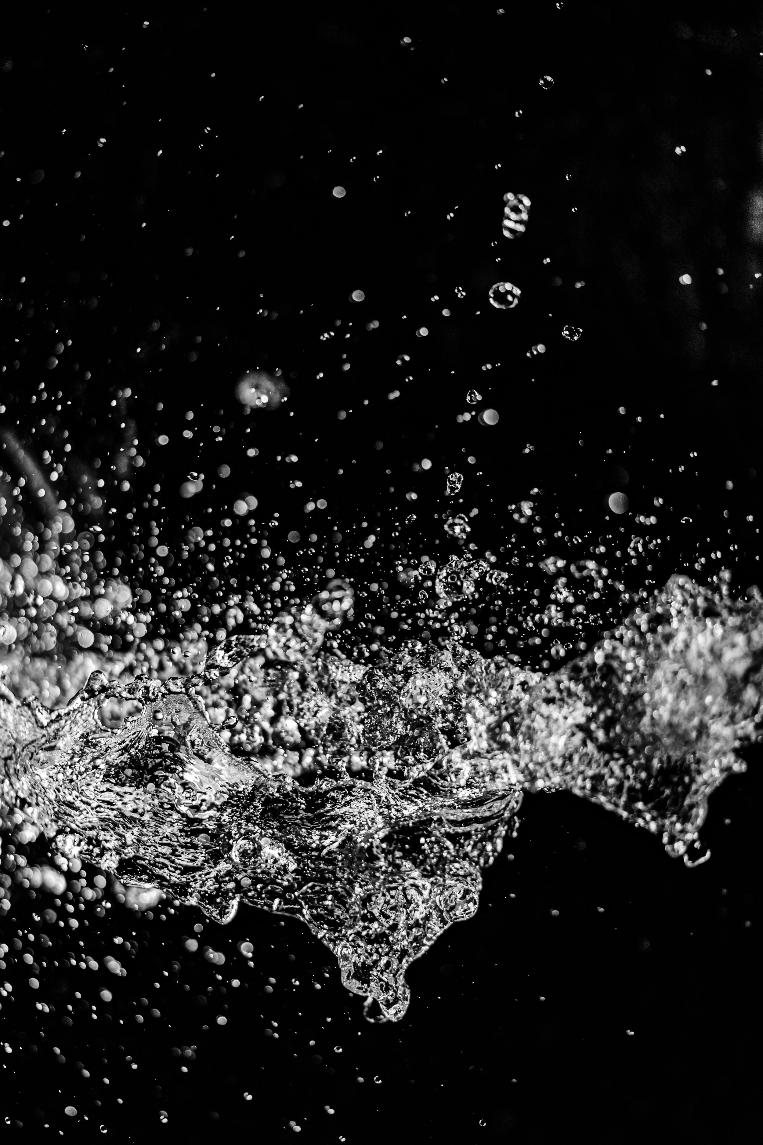 Whalebone BW Portrait Splash 1.JPG