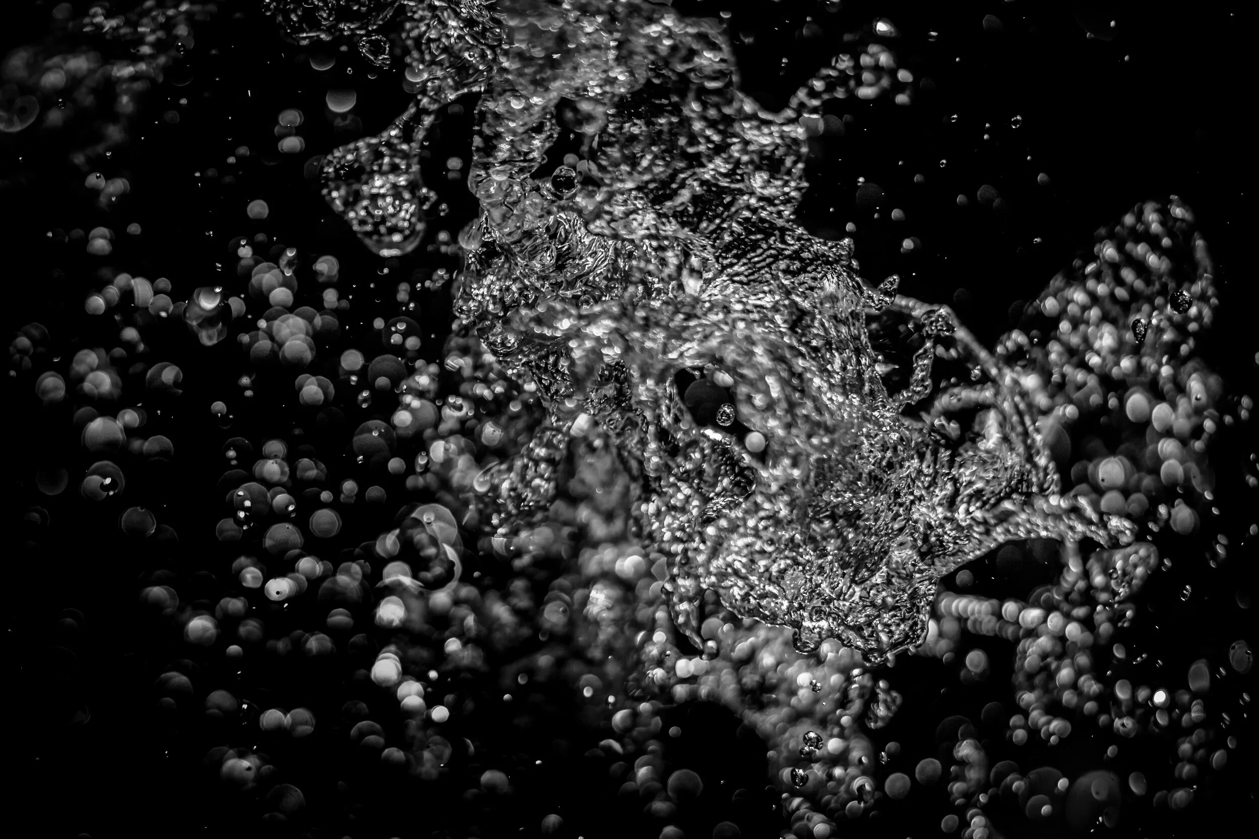 Whalebone BW Portrait Splash 4.JPG