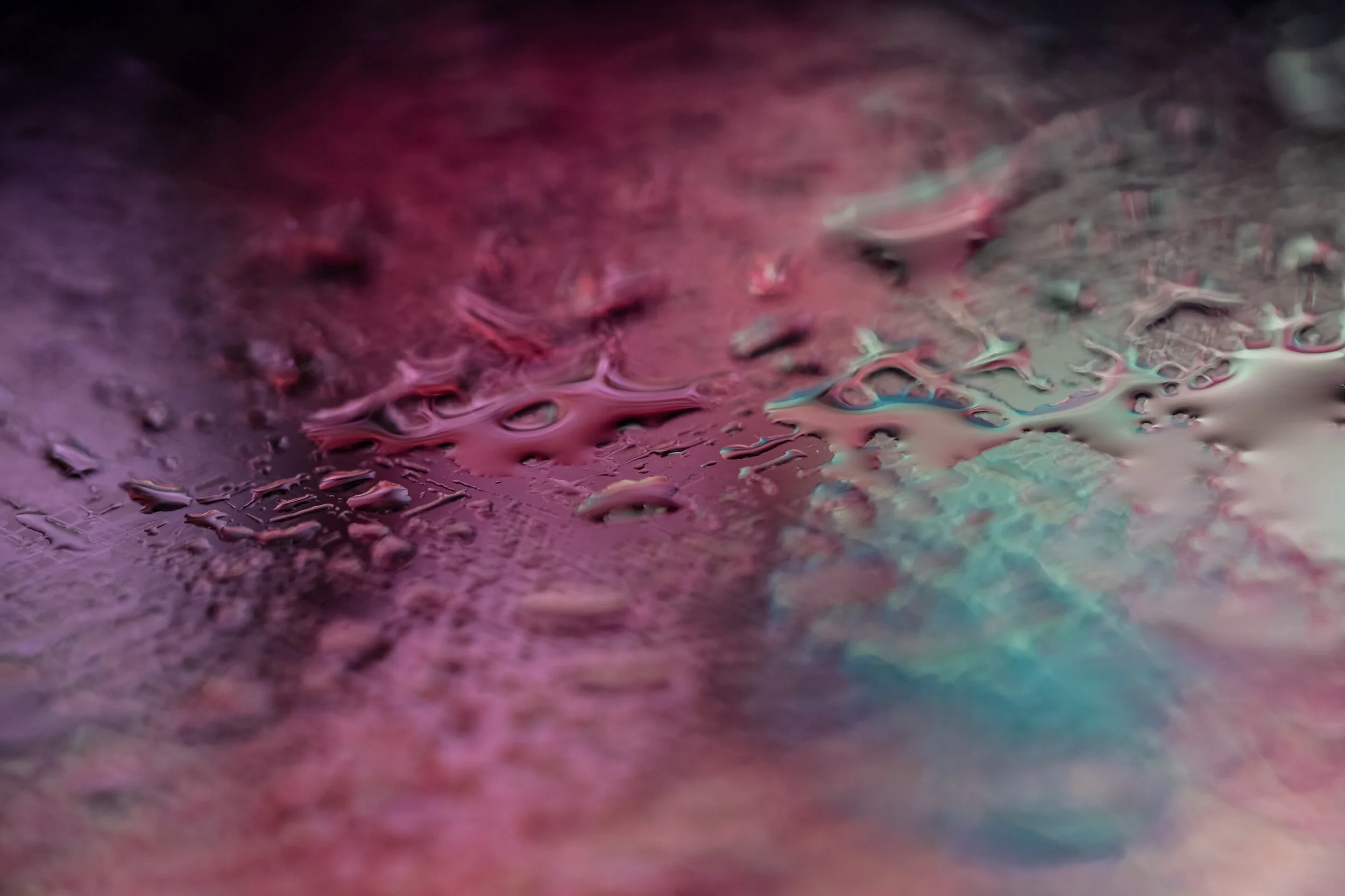 20210411-LBH09435.jpeg