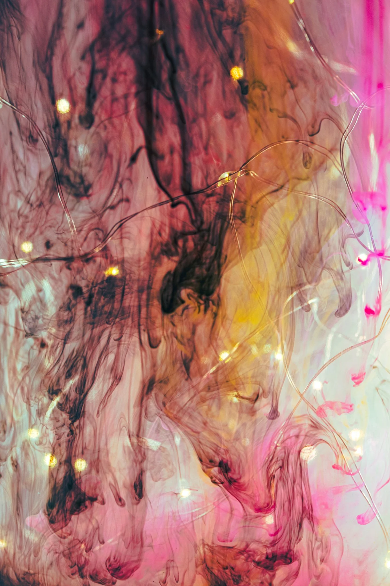 LBH06579.jpeg