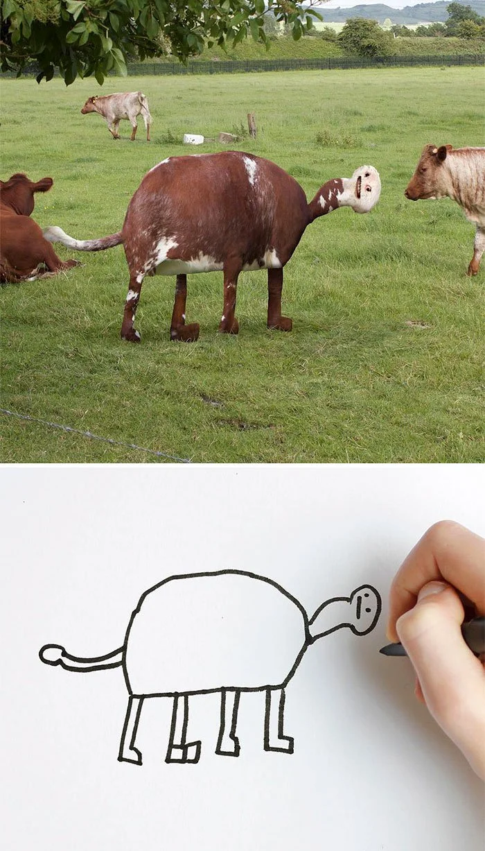creativity-10.jpg