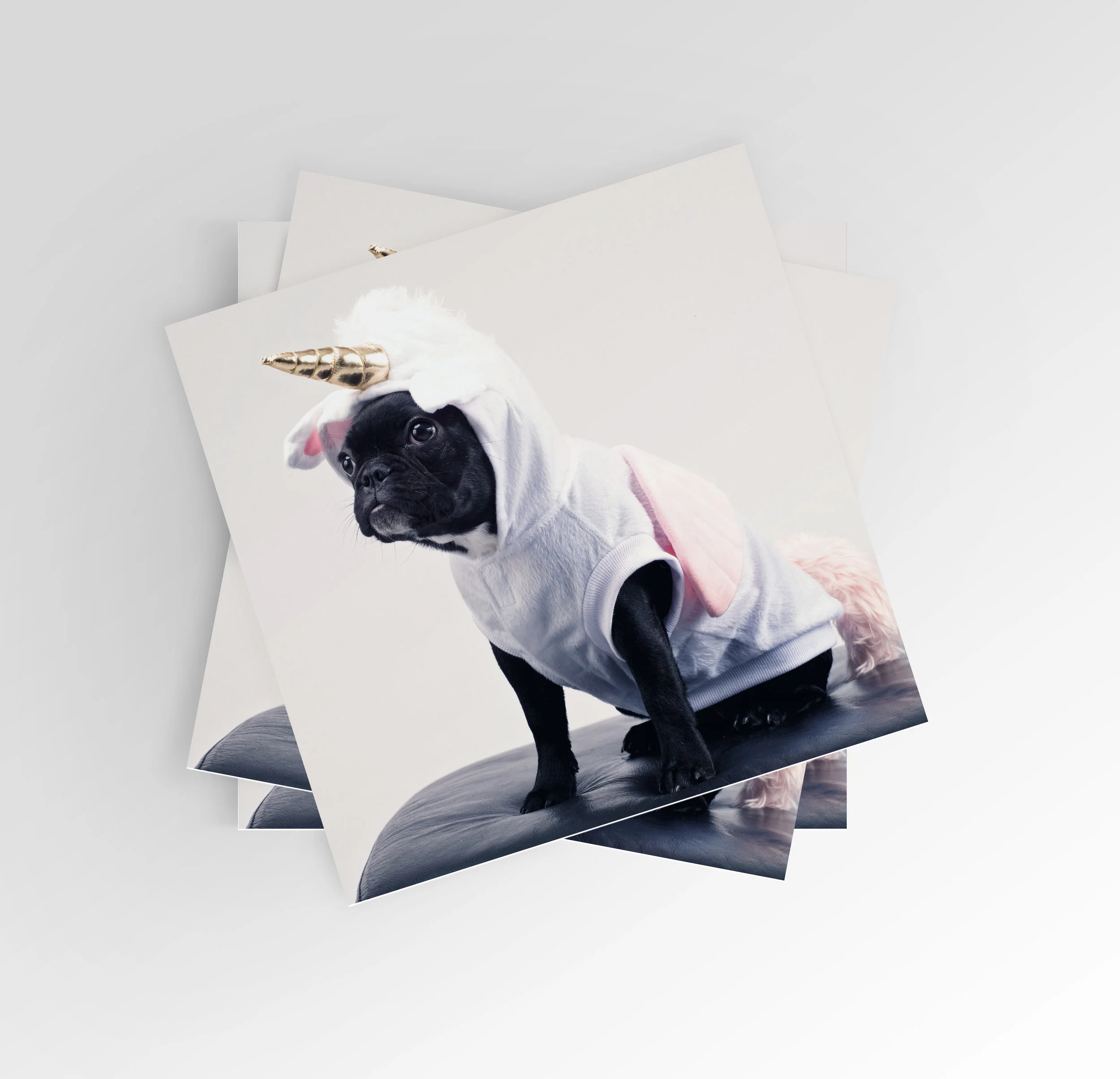 Set of Unicorn French Bulldog Greeting Cards
