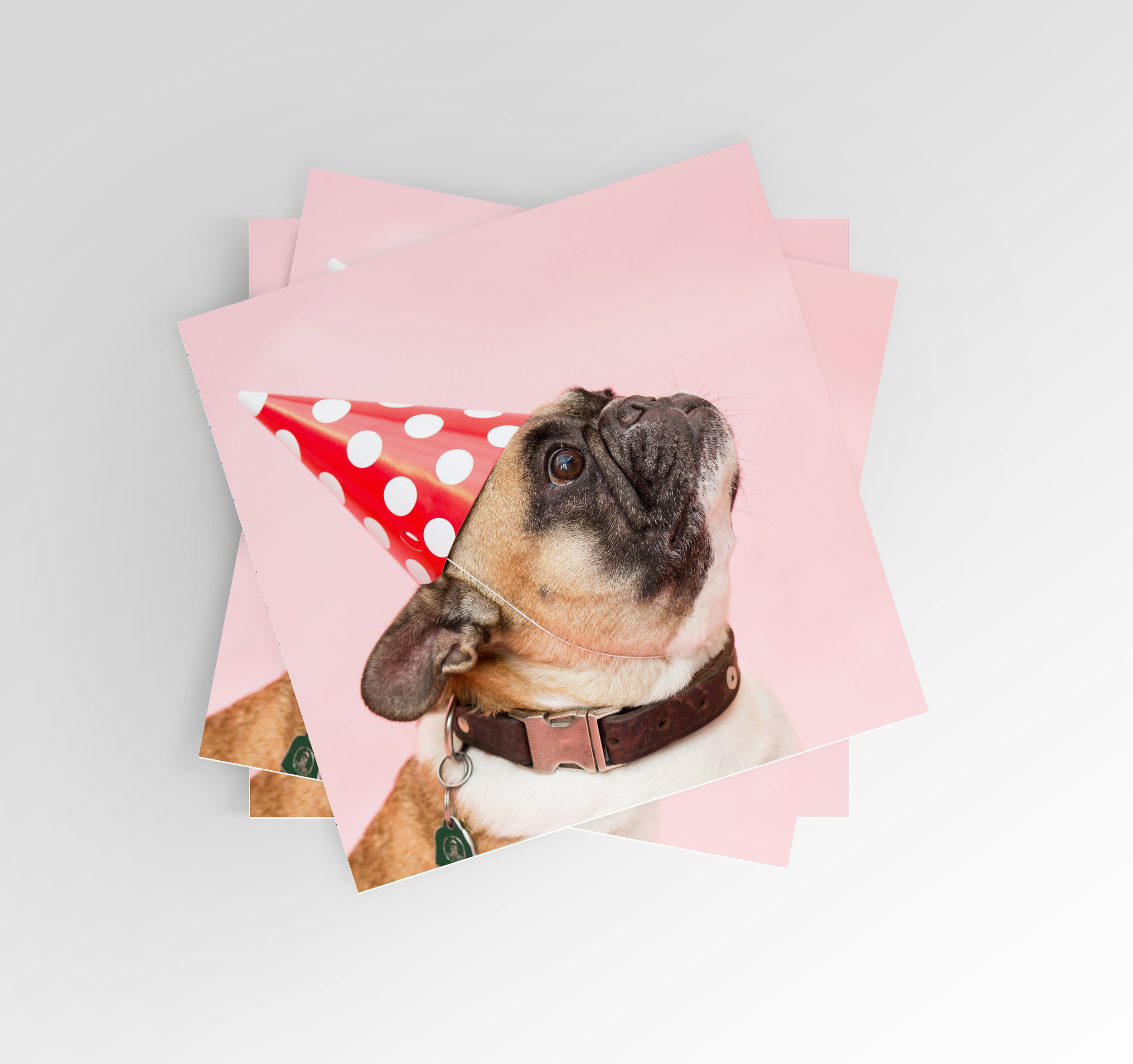 Set of French Bulldog Party Greeting Cards