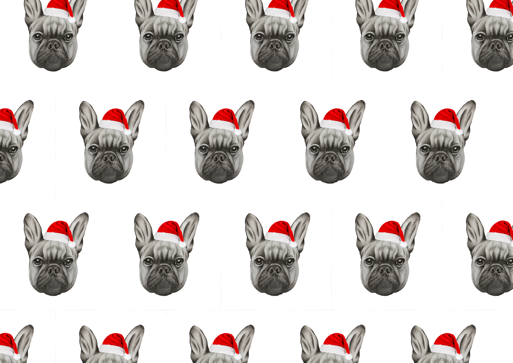 French Bulldog Wrapping.jpg