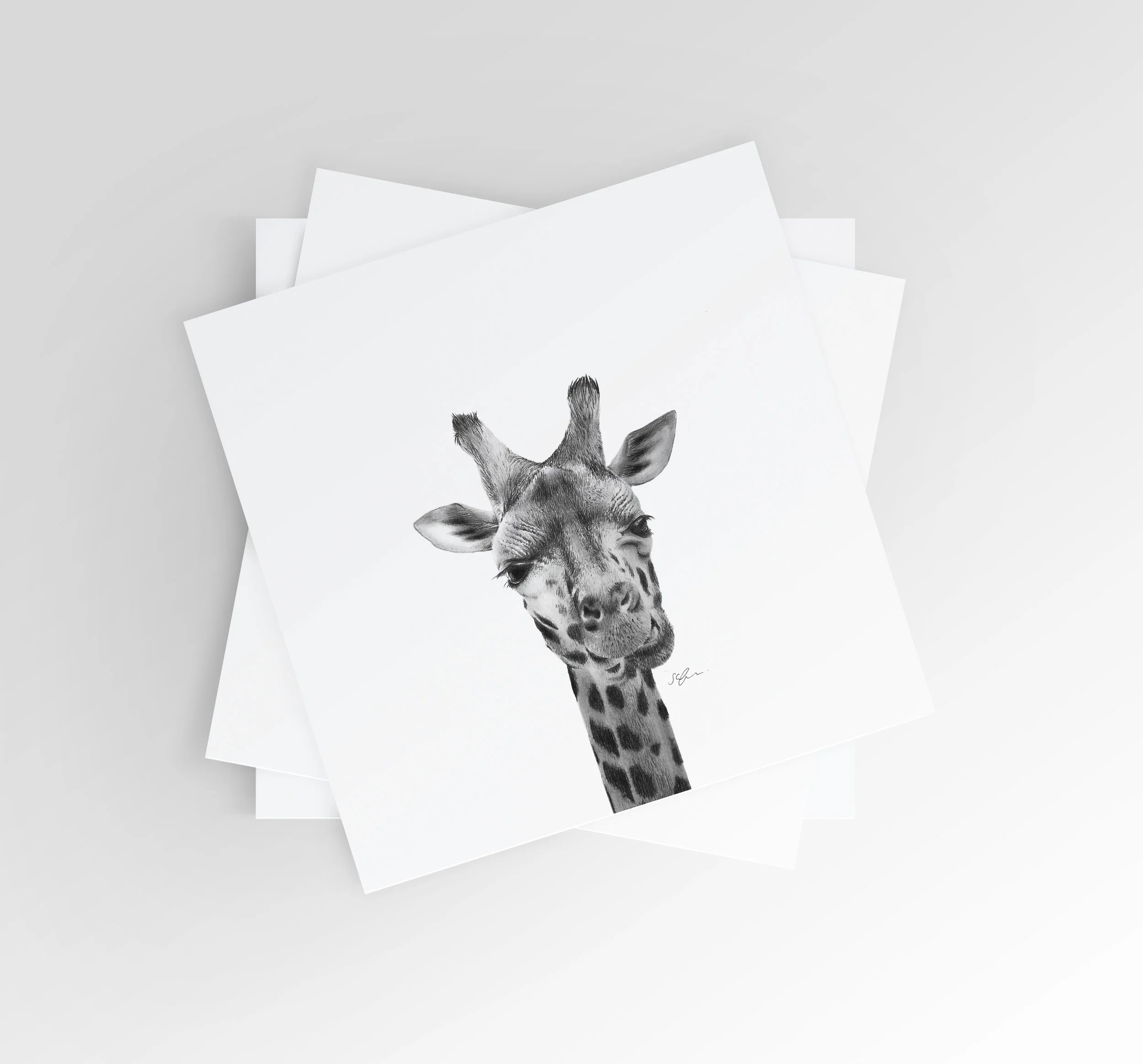 Set of Goofy Giraffe Greeting Cards