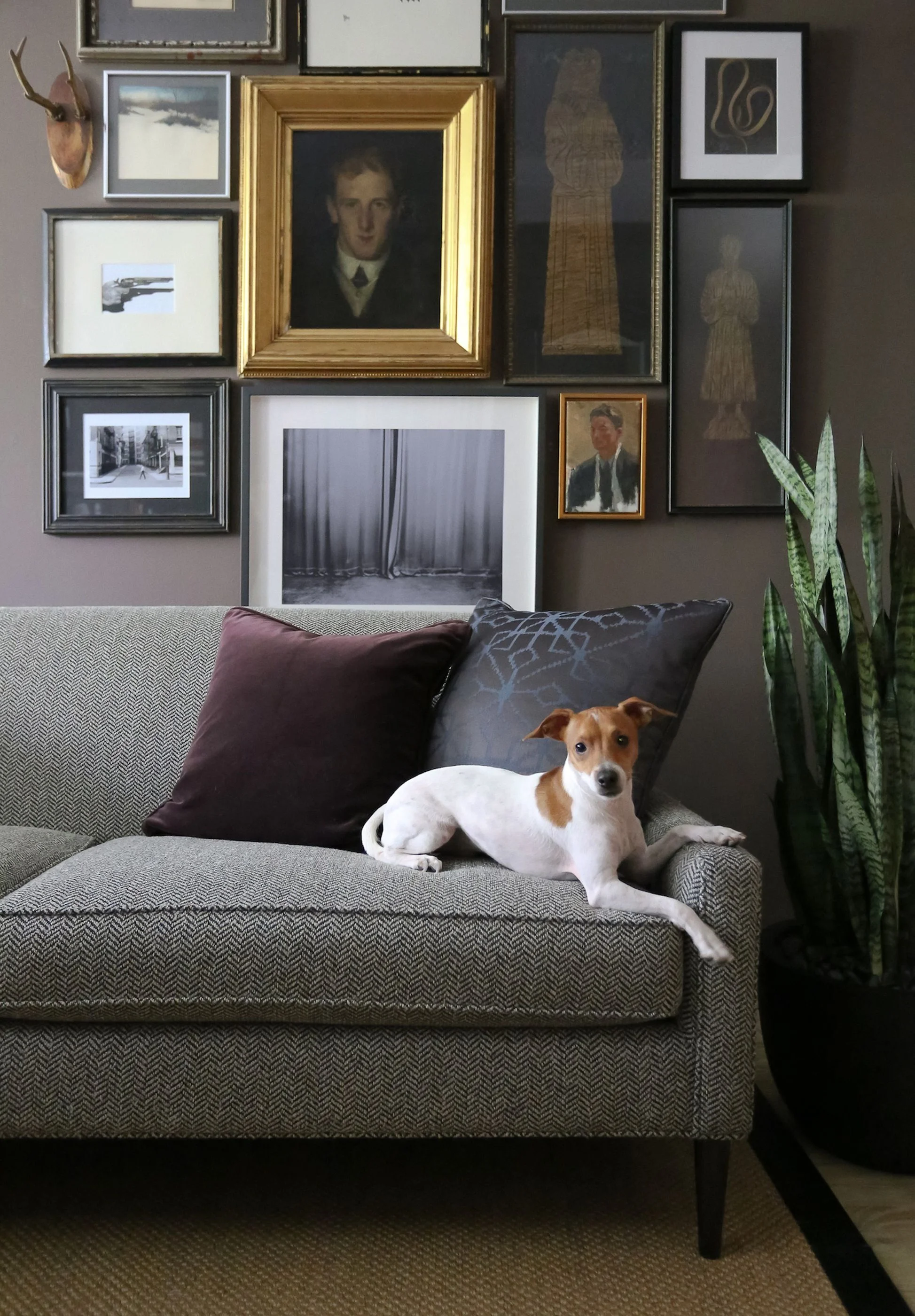 Gallery wall by Peter Sandel Design