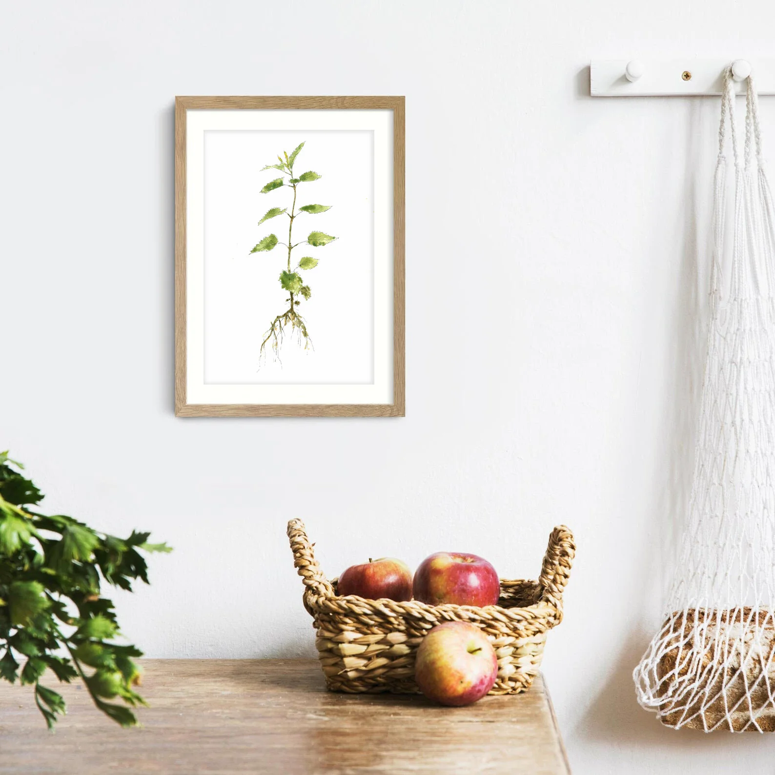 Ink &amp; Watercolour 'Common Nettle' Painting by Christian Coop