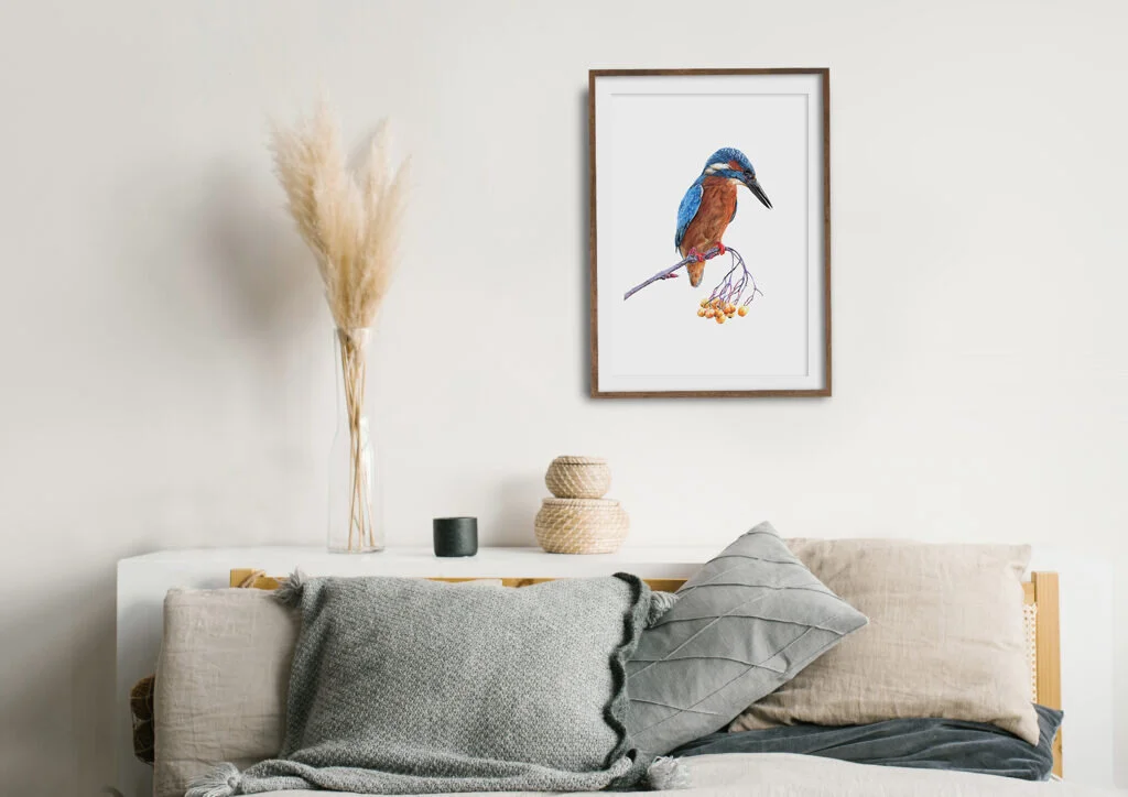 Kingfisher Framed 2.jpg