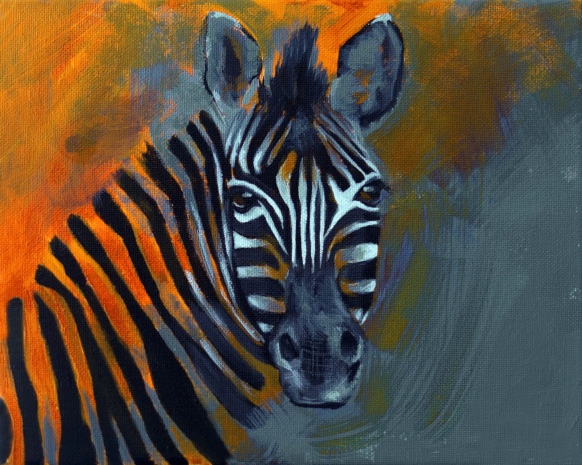 Zebra 4.jpg