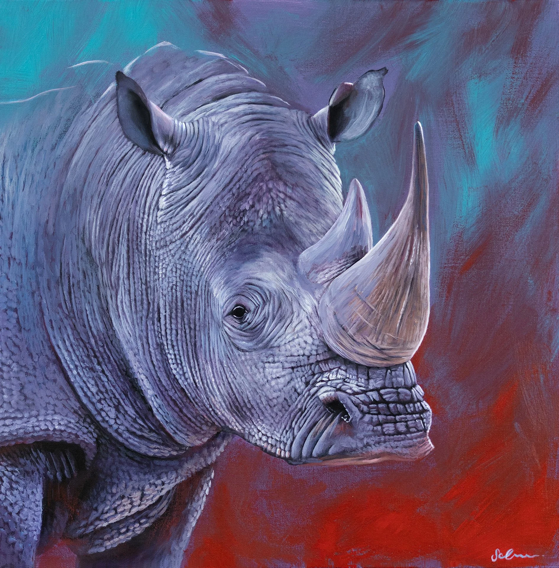 Rhino Colours.jpg