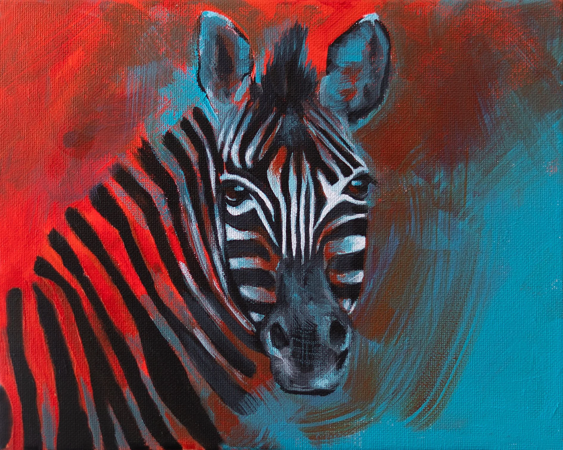 Zebra 2.jpg