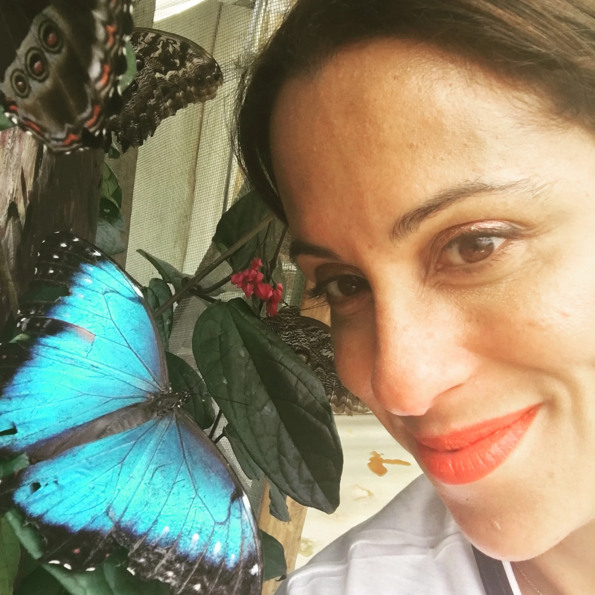 Fabiola Ansotegui I am a 43 years old lawyer, born and raised in Puerto Rico. I adore to travel and find myself in every country, in every religion and in every person that I met. Looking forward to meet my tribe in Costa Rica. In the meantime, you could find me in Facebook and Instagram “fansotegui”.